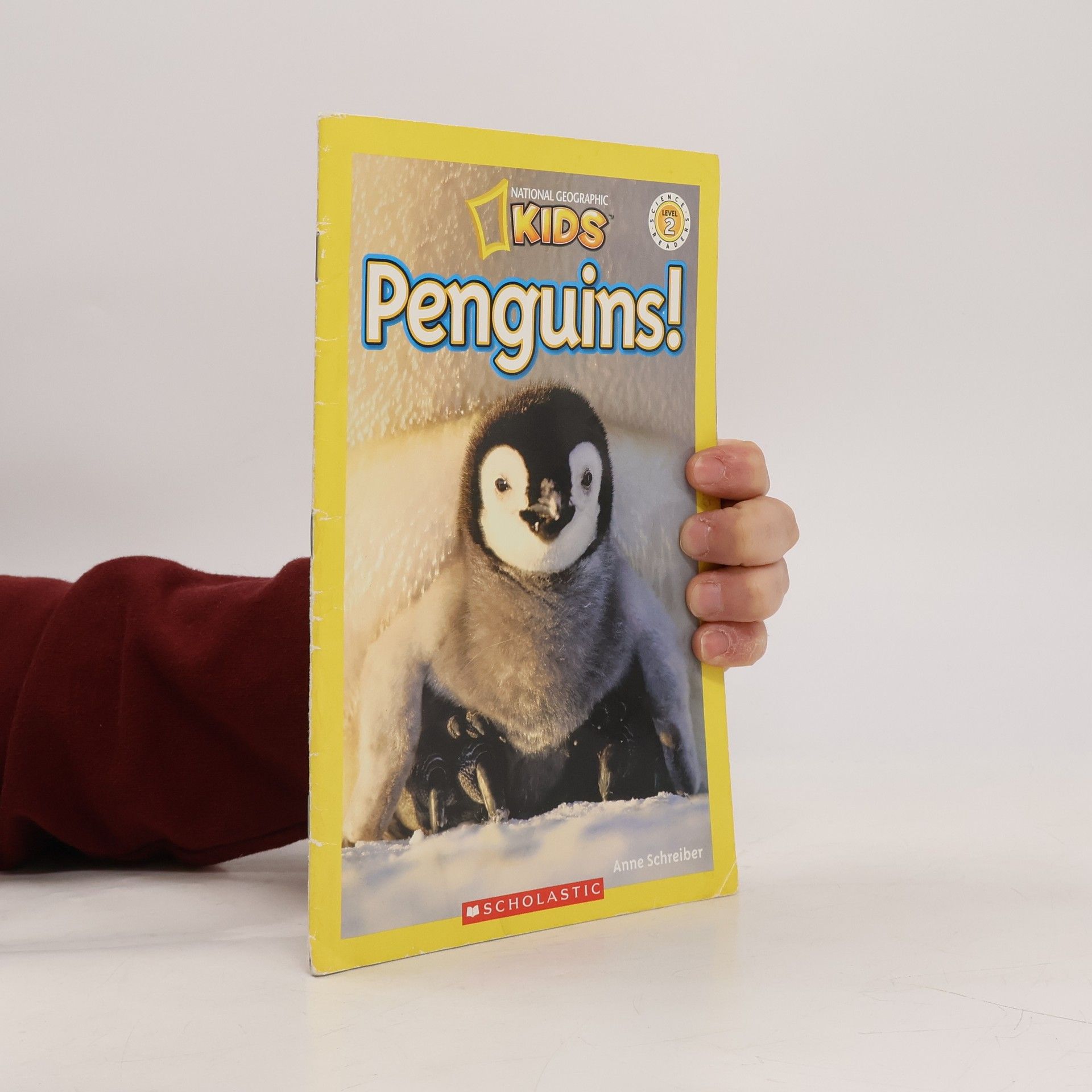 Anne Schreiber Penguins!