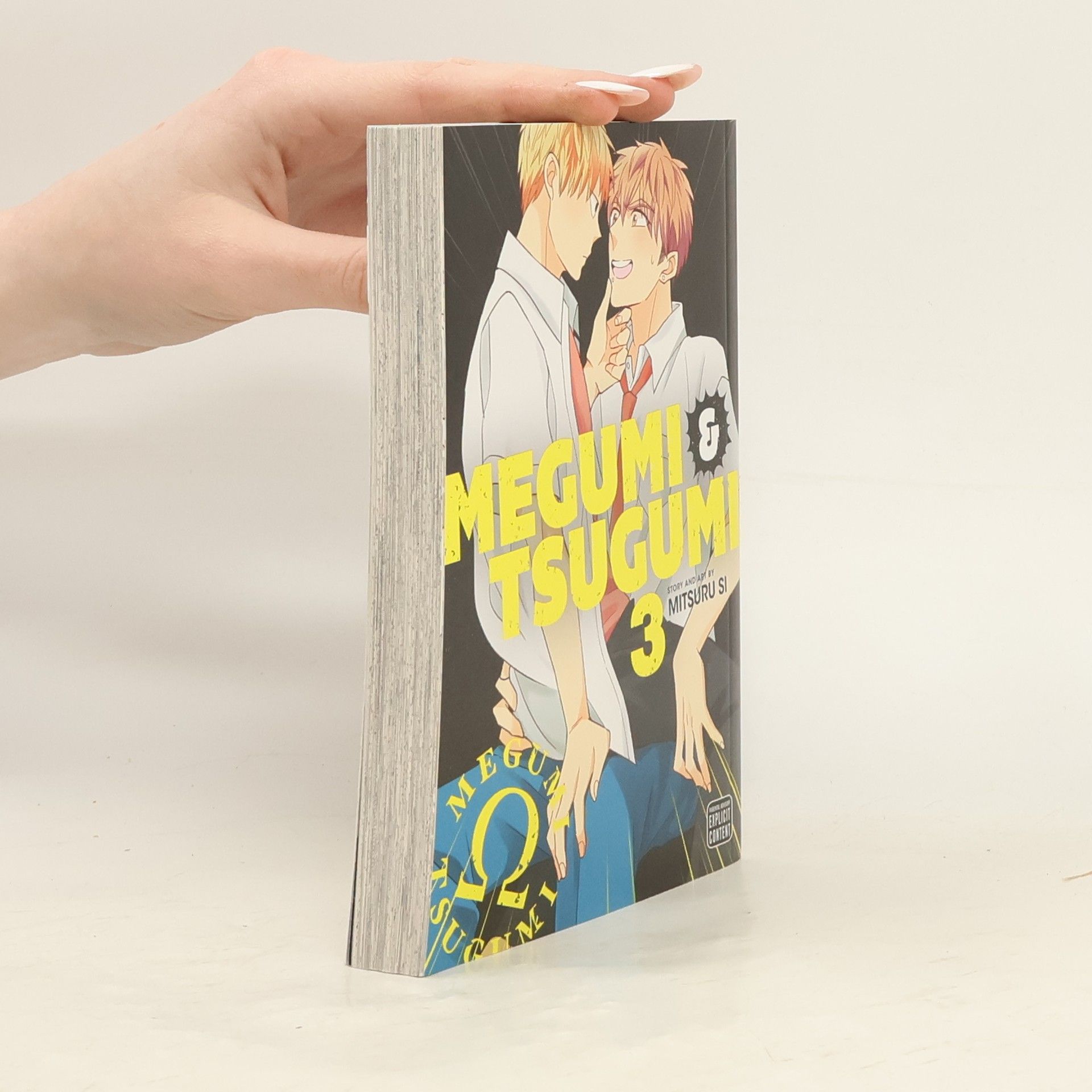 Mitsuru Ebe Megumi & Tsugumi, Vol. 3