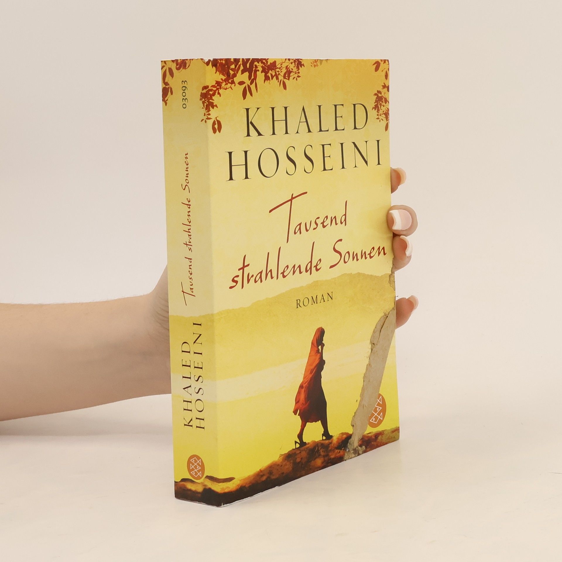 Khaled Hosseini Tausend strahlende Sonnen