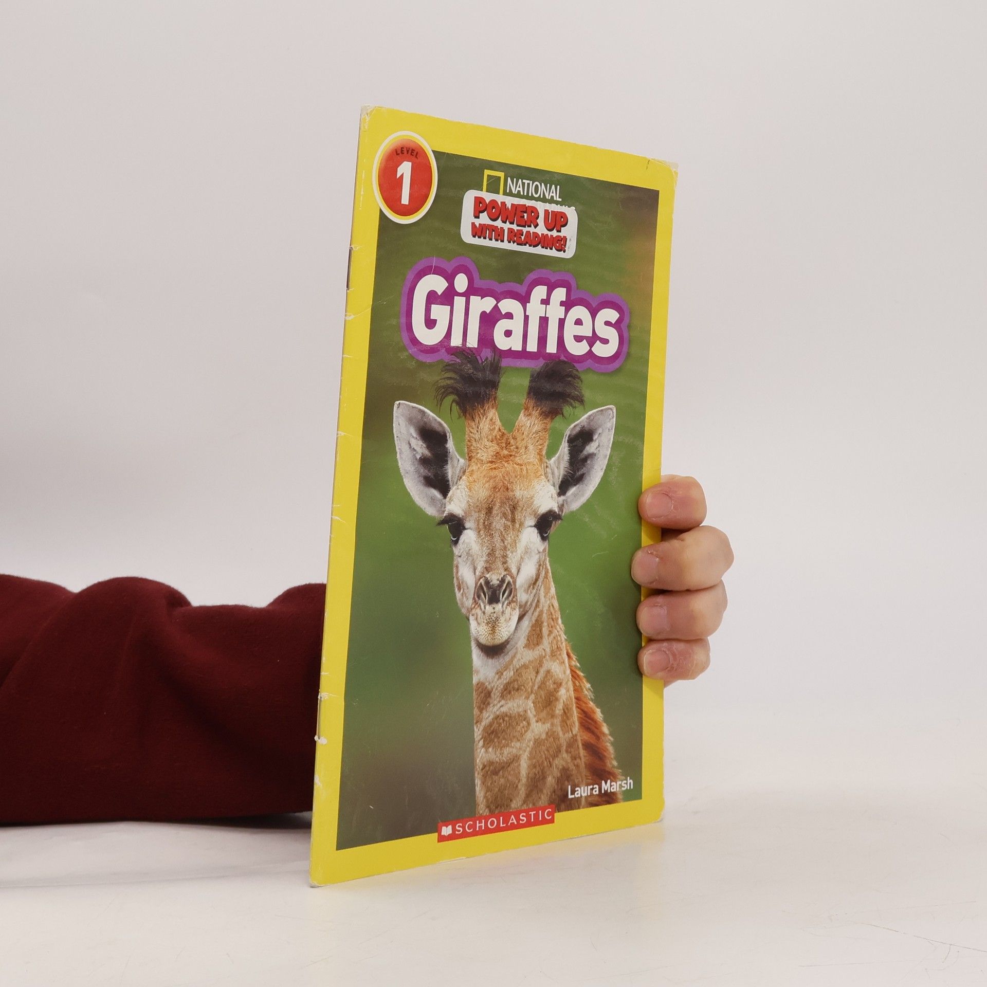 Laura Marsh Giraffes