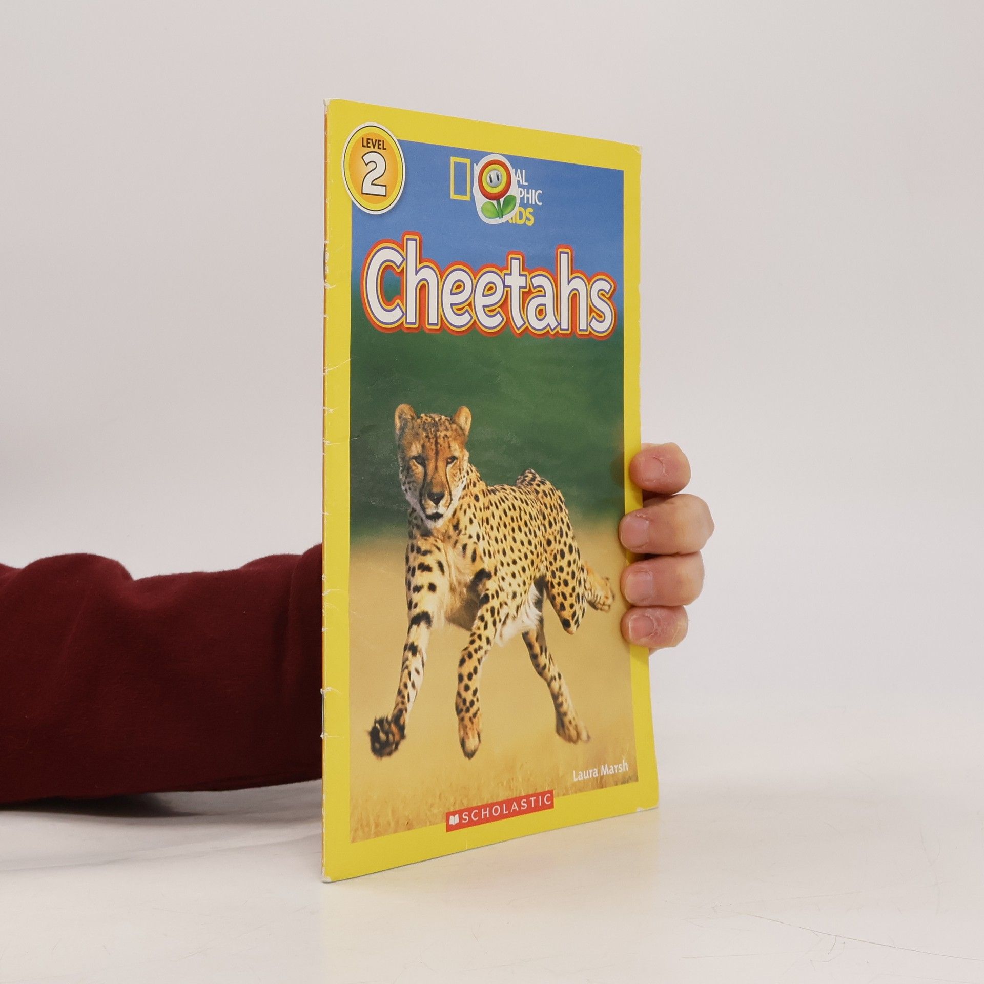 Laura Marsh Cheetahs