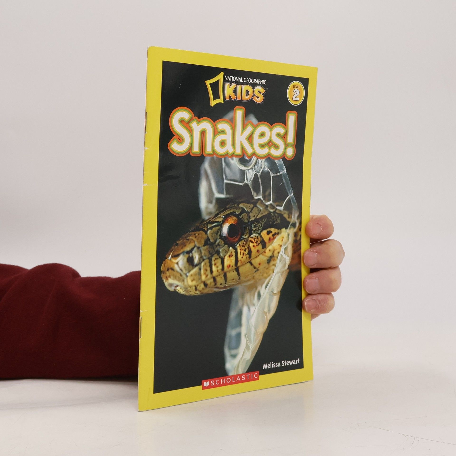 Melissa Stewart Snakes!