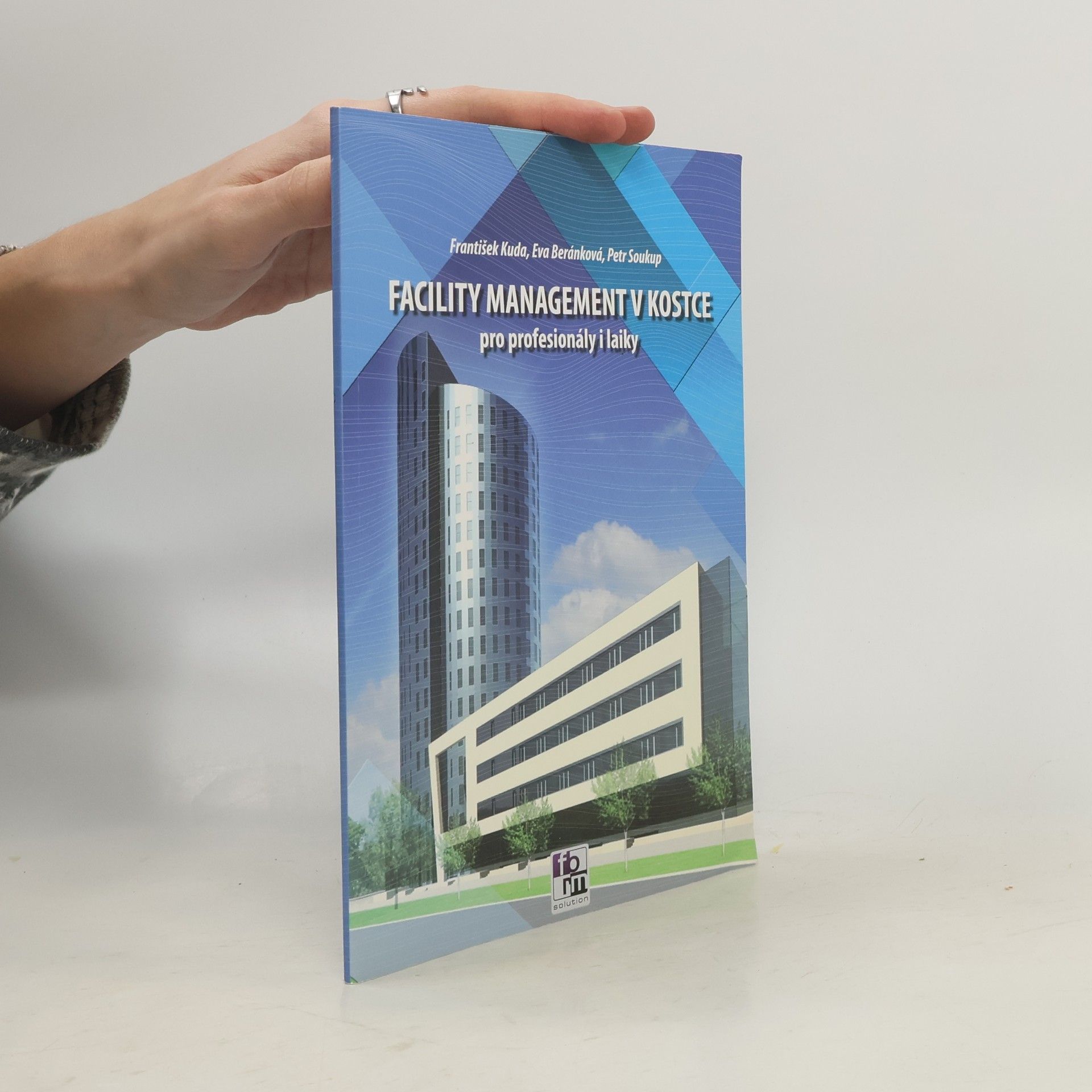 Facility management v kostce : pro profesionály i laiky