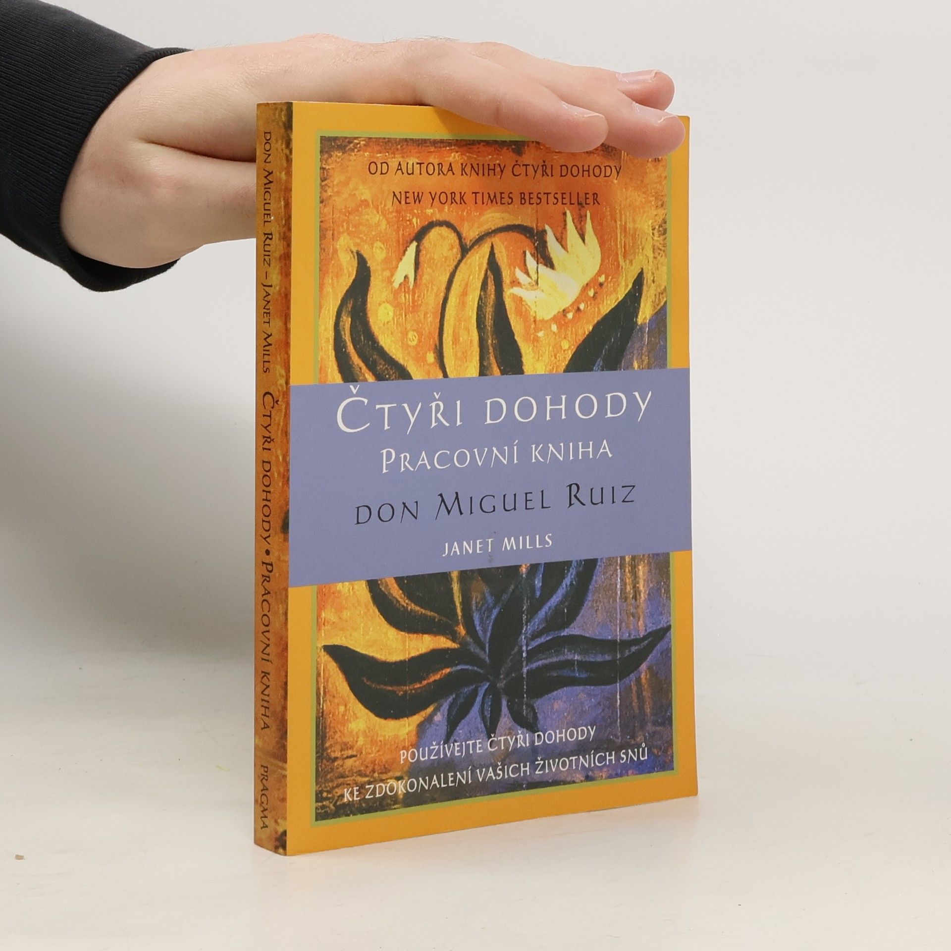 Don Miguel Ruiz Čtyři dohody. Pracovní kniha