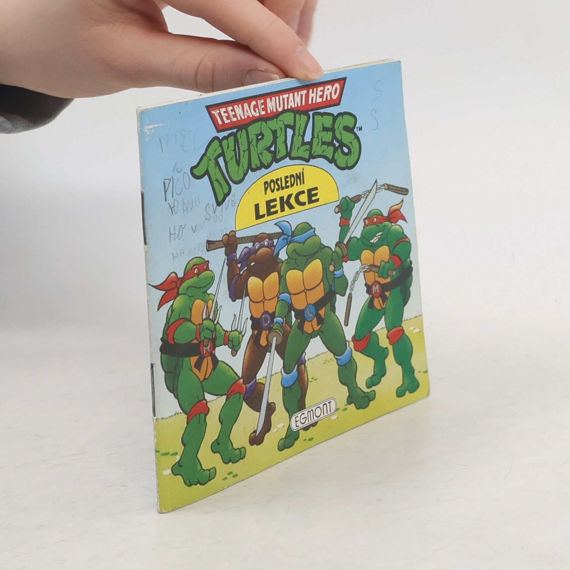 Turtles, Poslední lekce