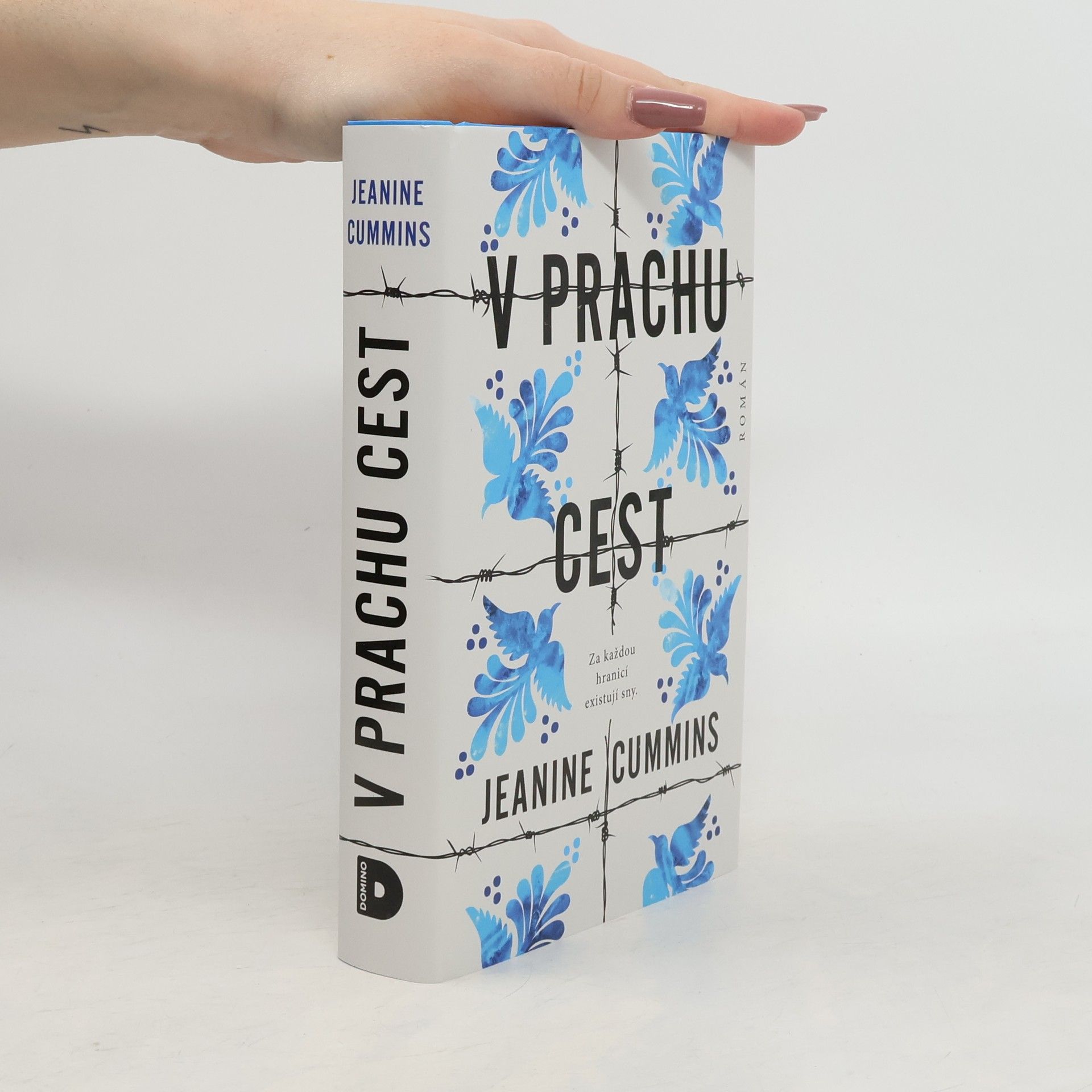 Jeanine Cummins V prachu cest