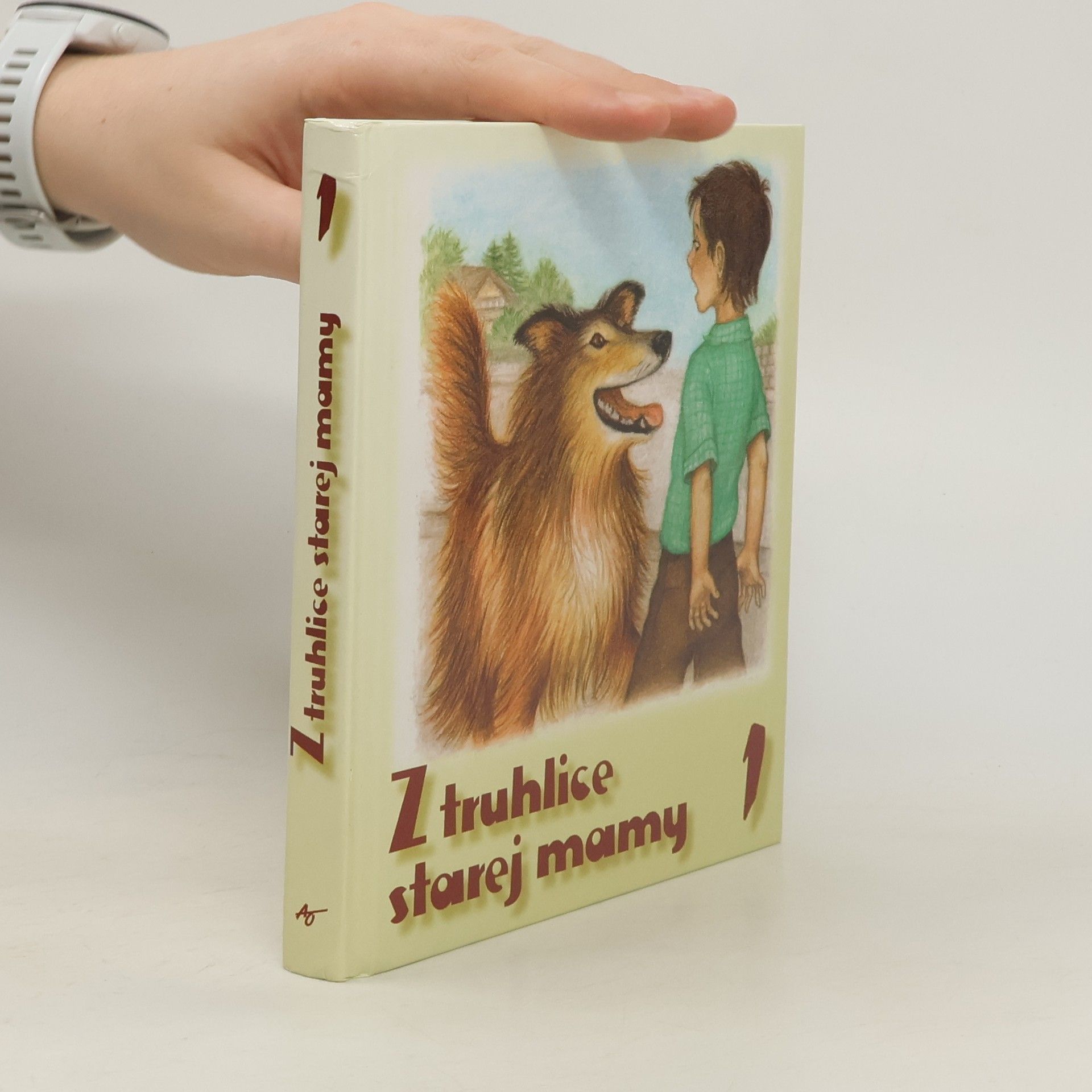 Immtraut Frose Scheerová Z truhlice starej mamy