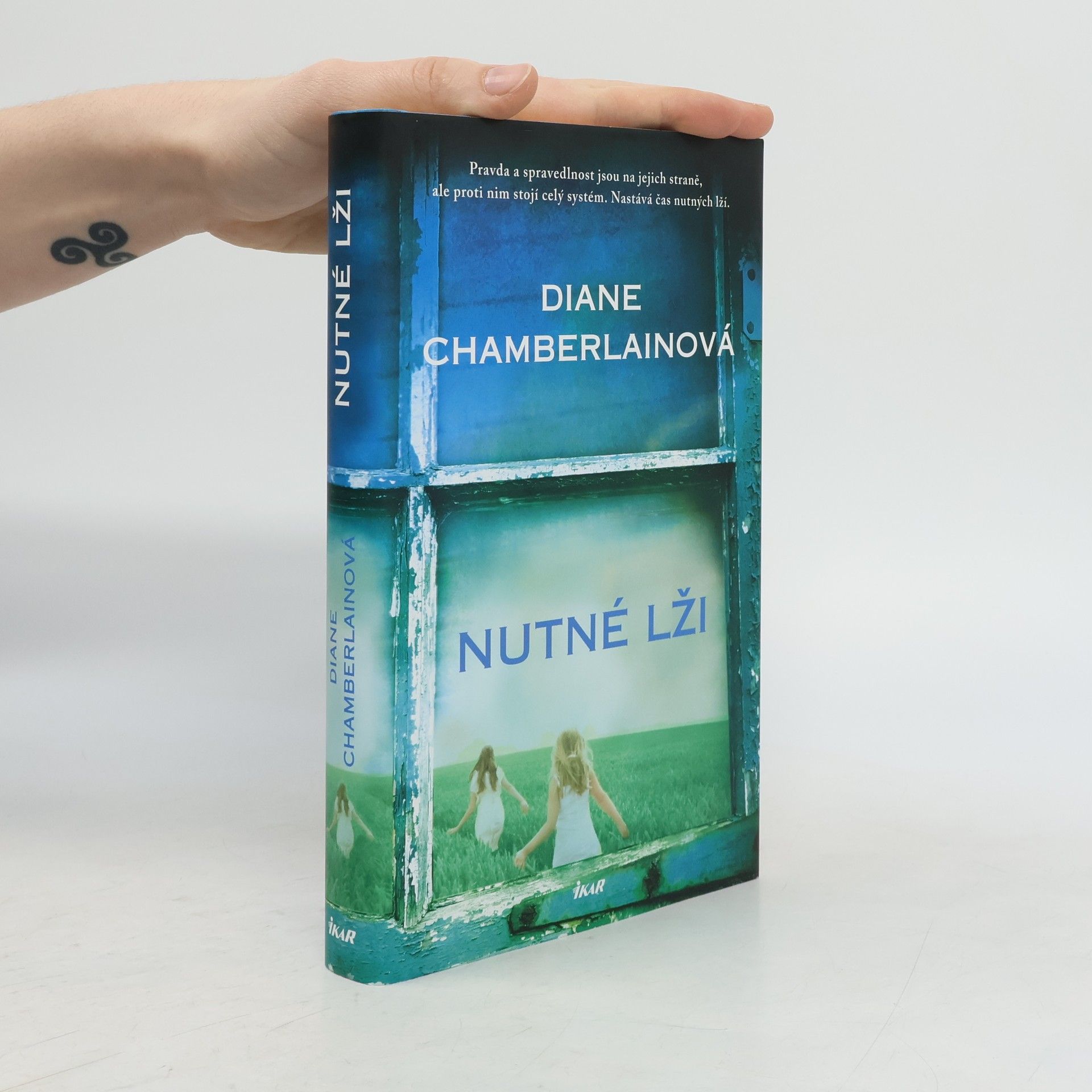 Diane Chamberlain Nutné lži