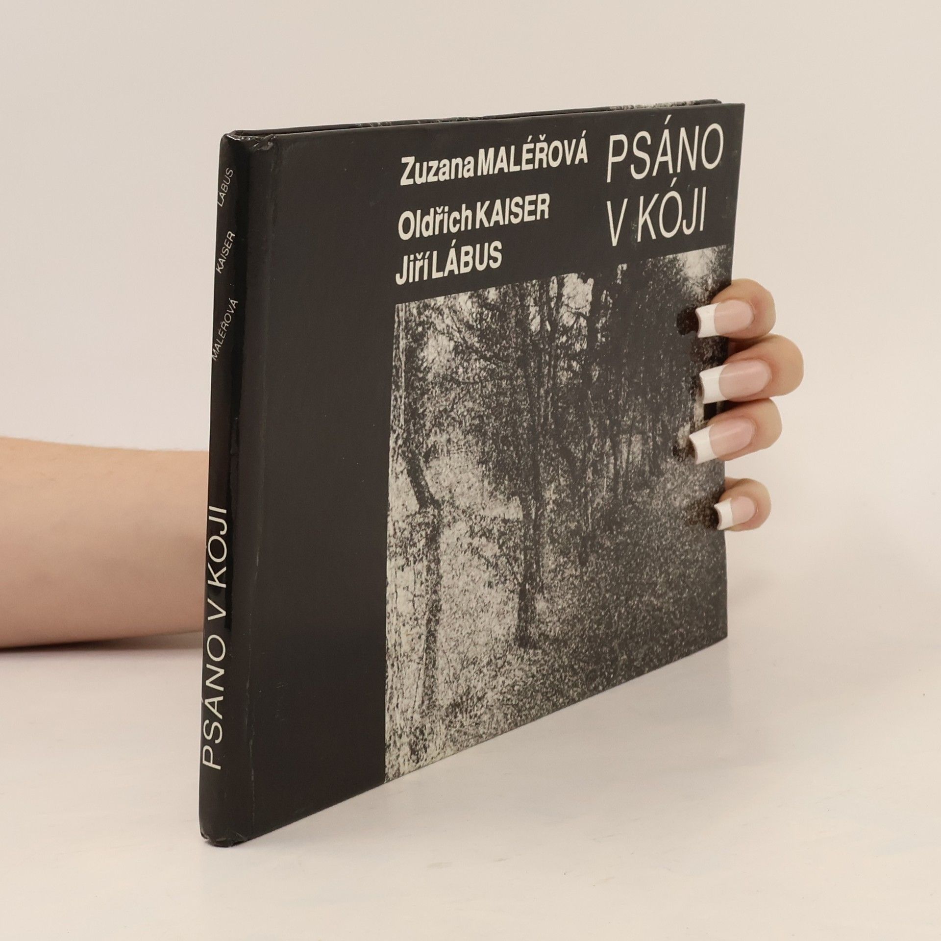 Zuzana Maléřová Psáno v kóji