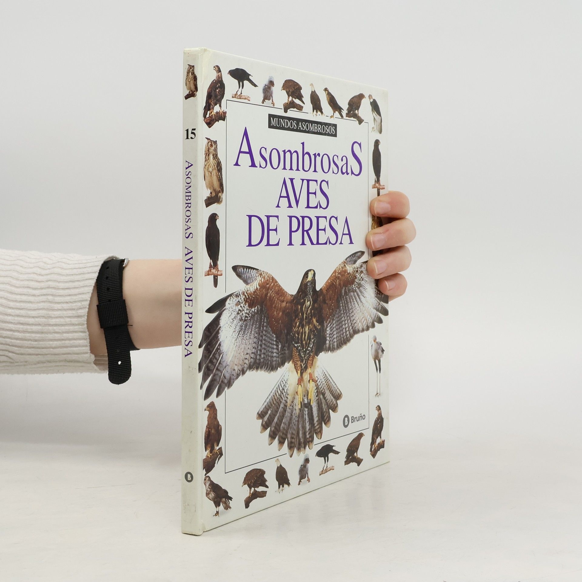 Various authors Asombrosas Aves de Presa