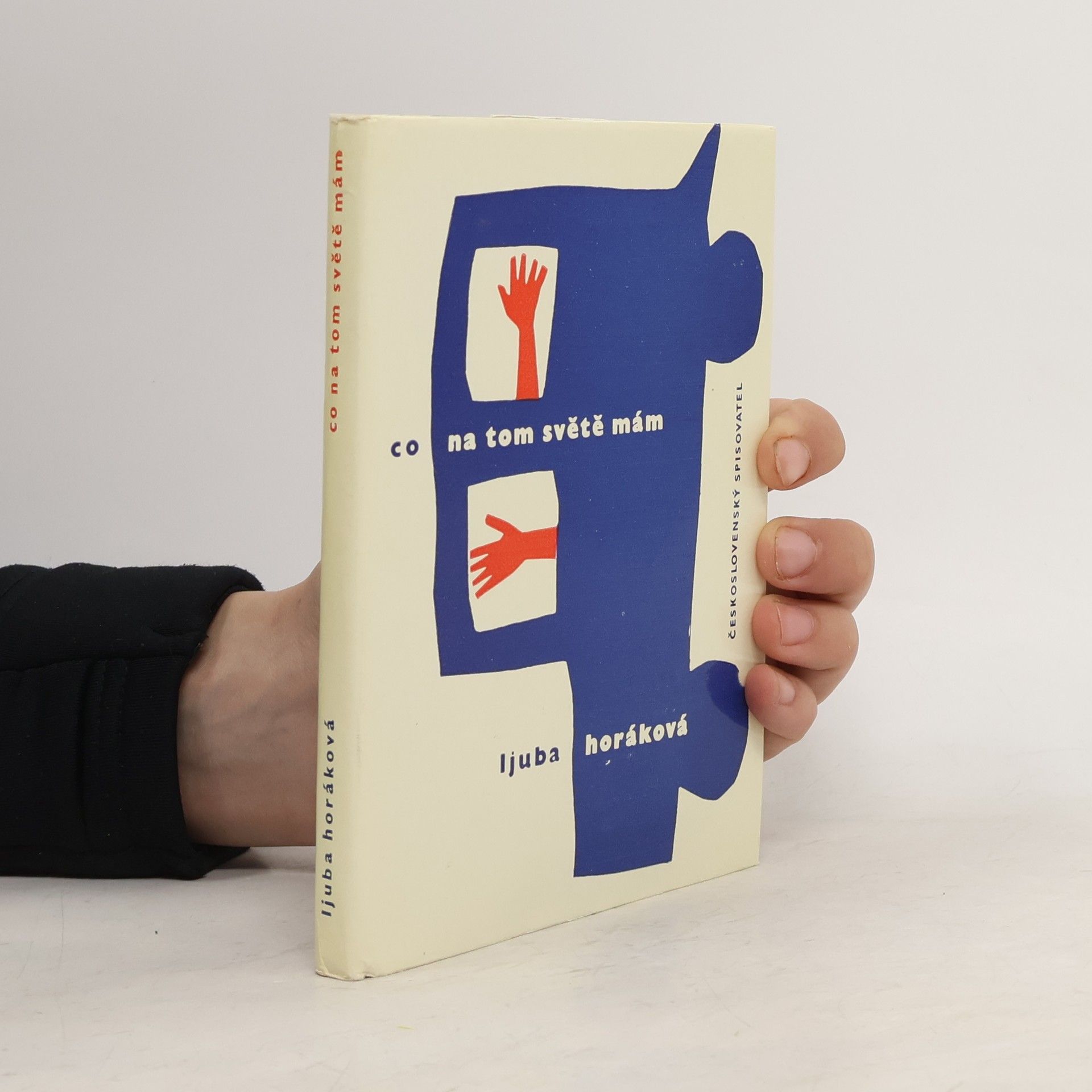 Co na tom světě mám