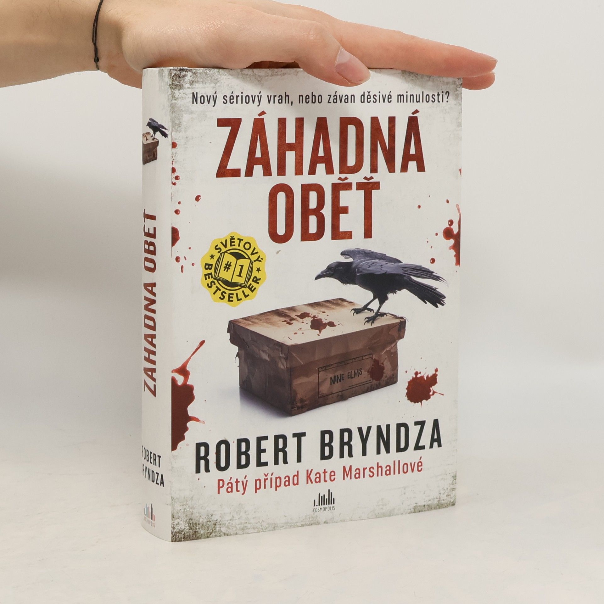 Robert Bryndza Záhadná oběť