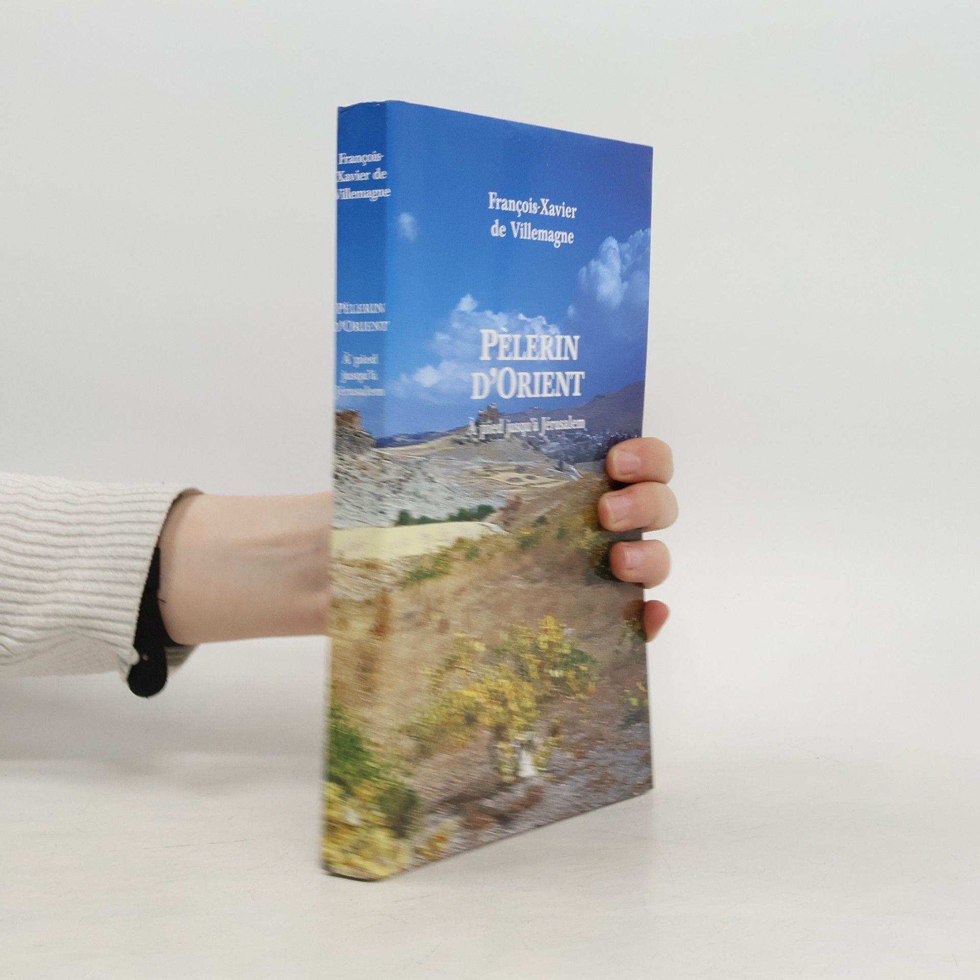 François-Xavier de Villemagne Pèlerin d'Orient. À pied jusqu'à Jérusalem