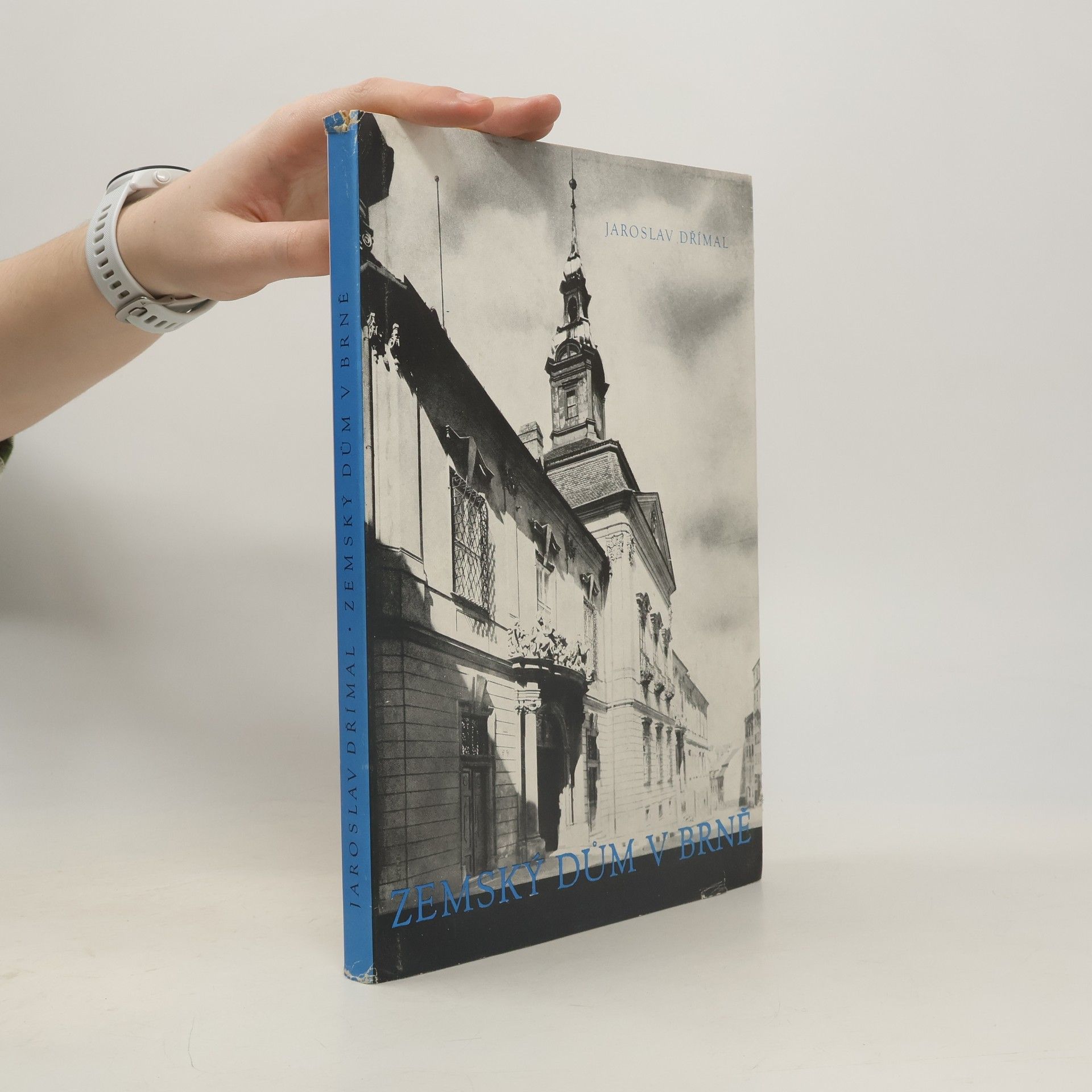 Zemský dům v Brně