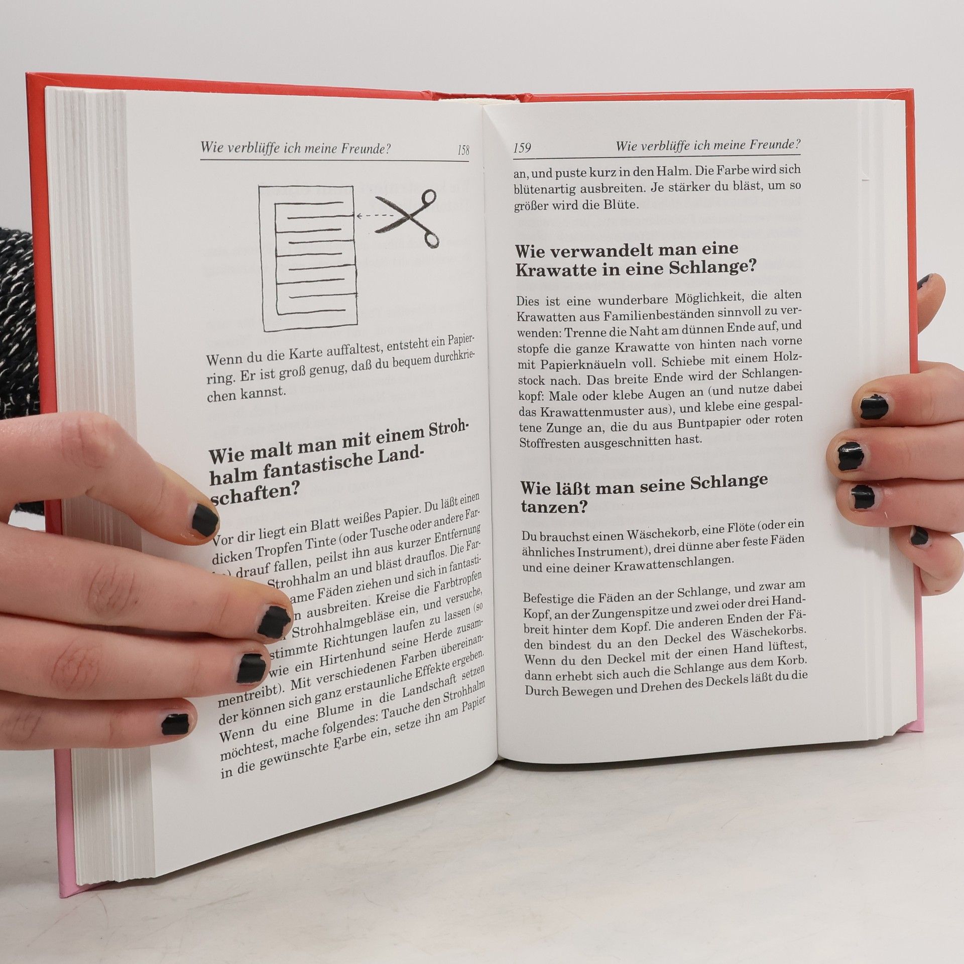 Nikolaus Lenz Das Buch der 1000 Tricks und Rätsel