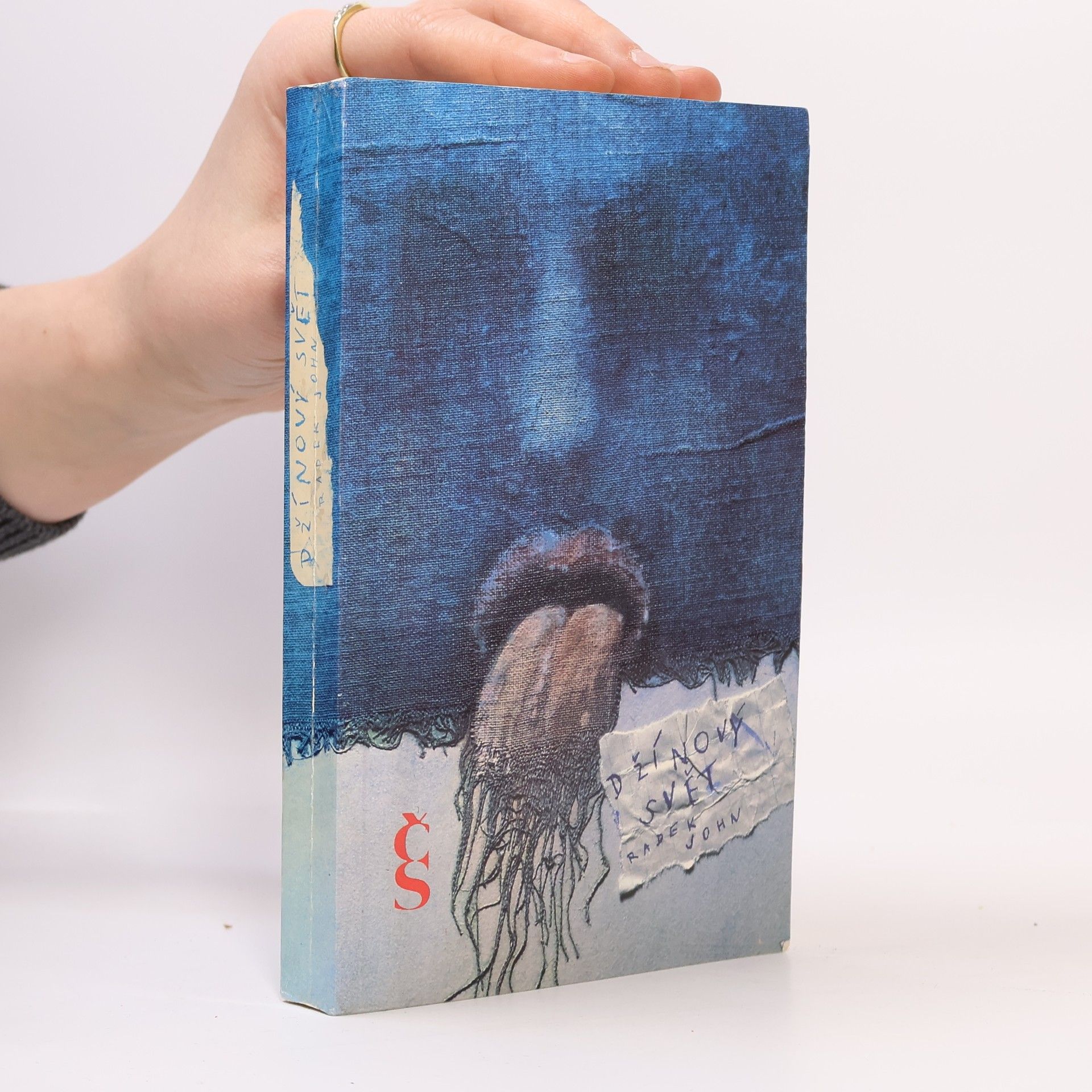 Radek John Džínový svět