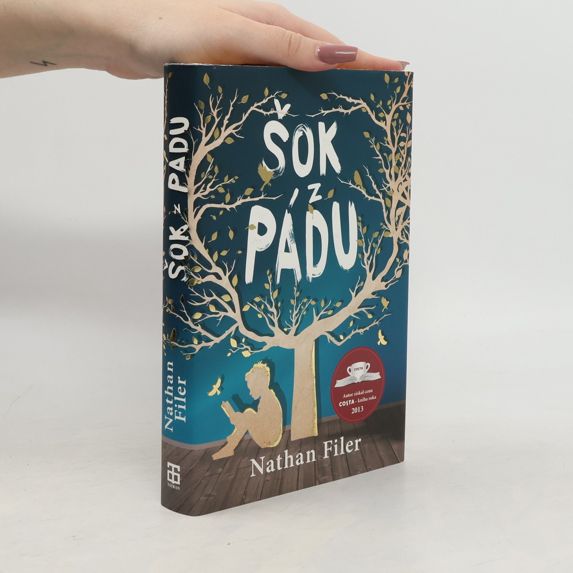 Nathan Filer Šok z pádu