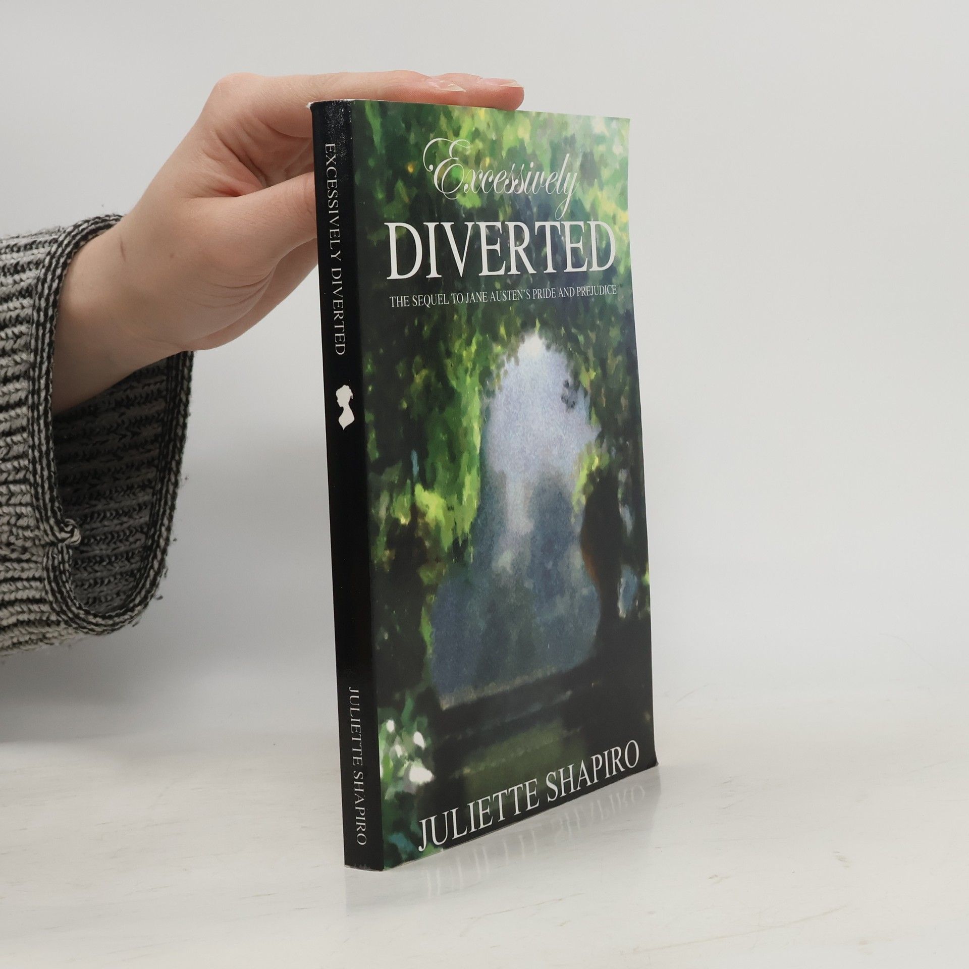 Juliette Shapiro Excessively Diverted