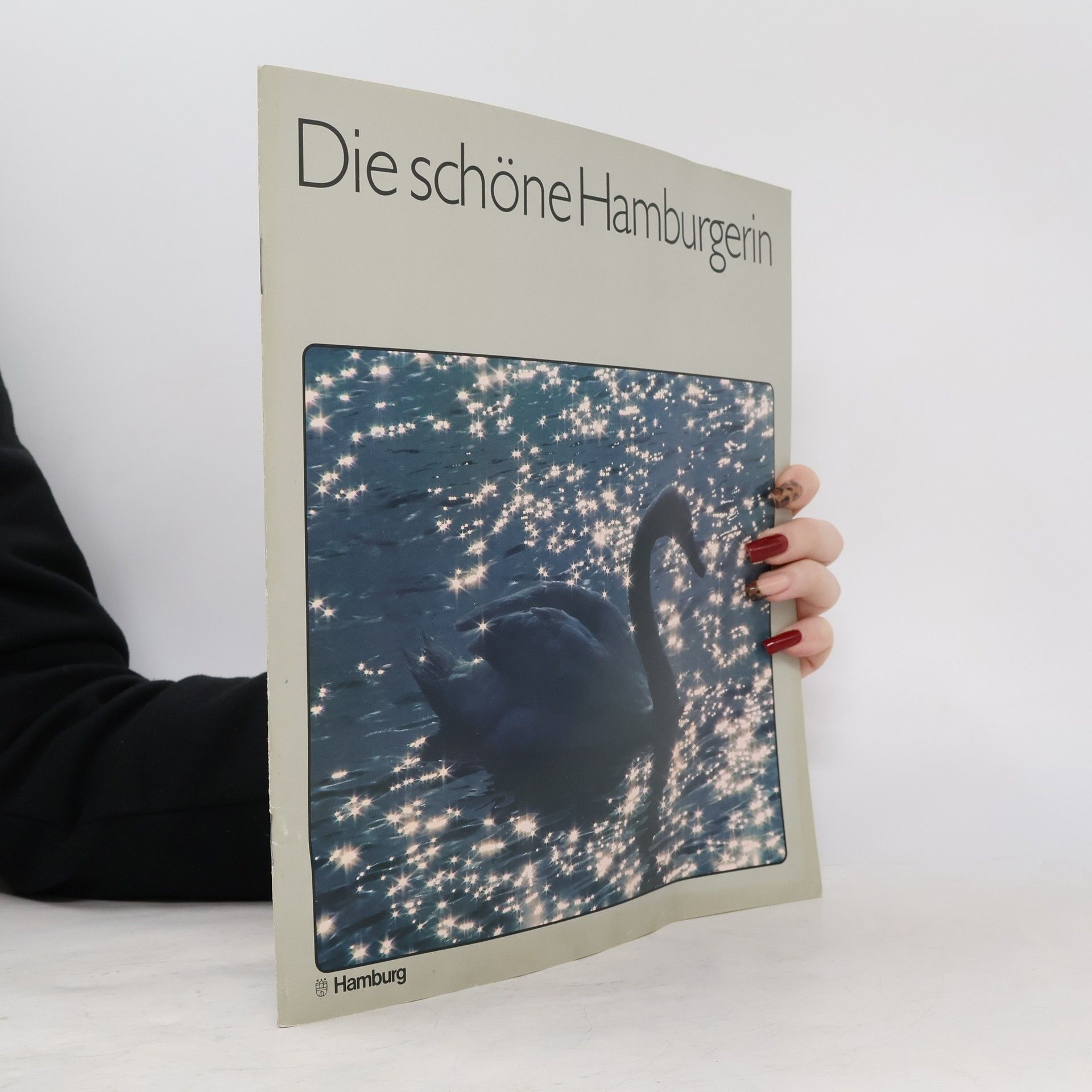 Kolektív autorov Die schöne Hamburgerin