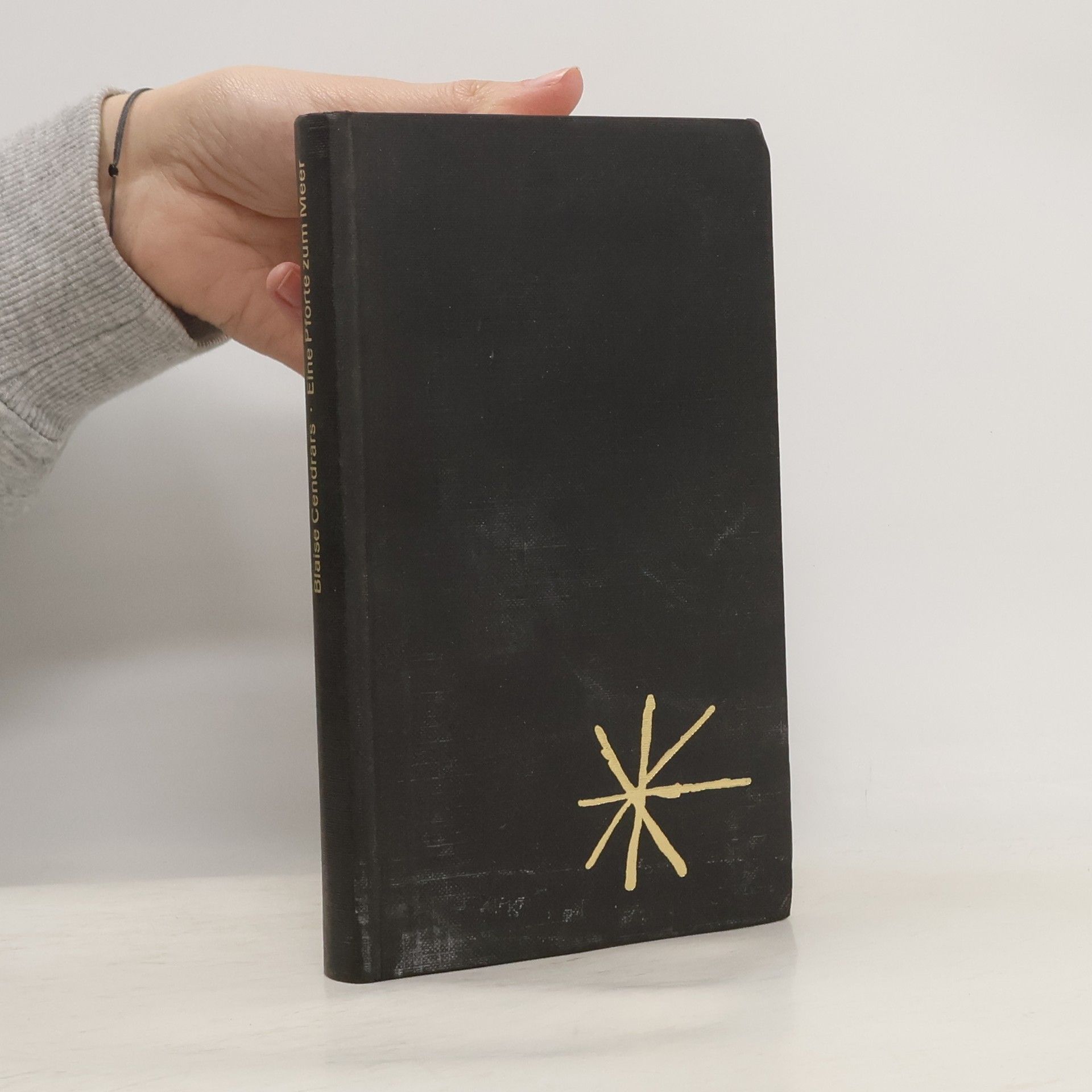 Blaise Cendrars Eine Pforte zum Meer