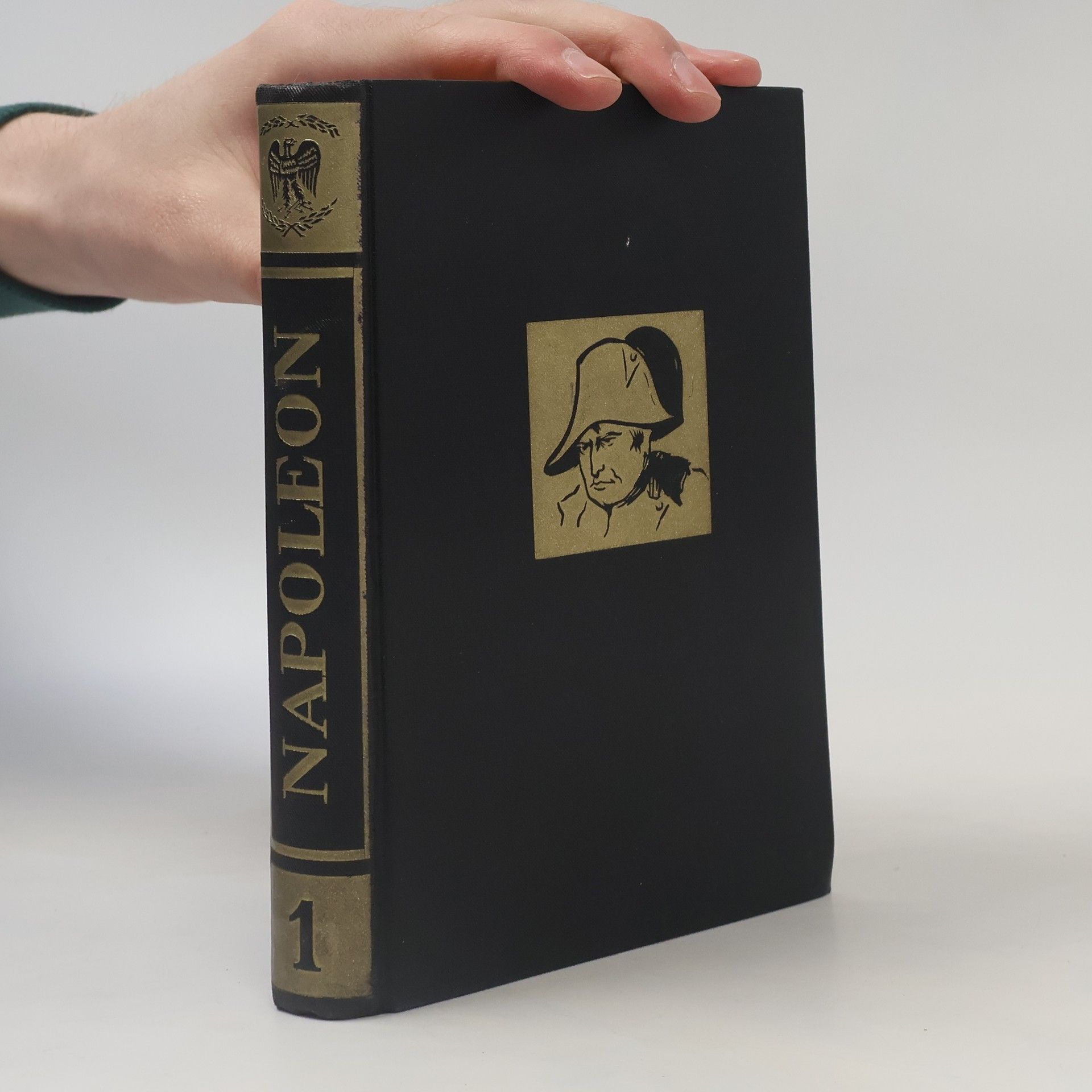 W. Gasiorowski Napoleon 1