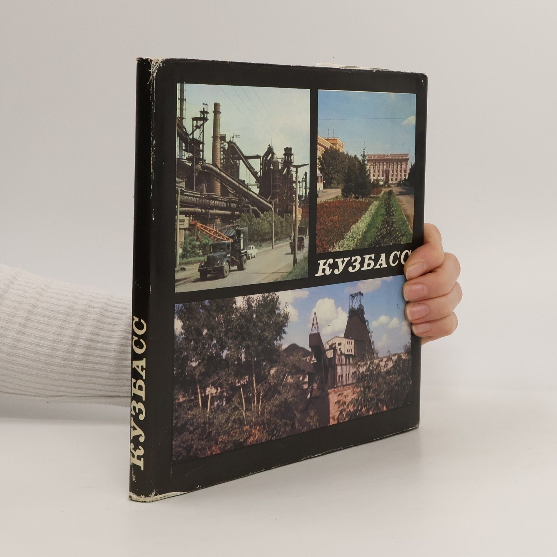 N. Turchin Кузбасс