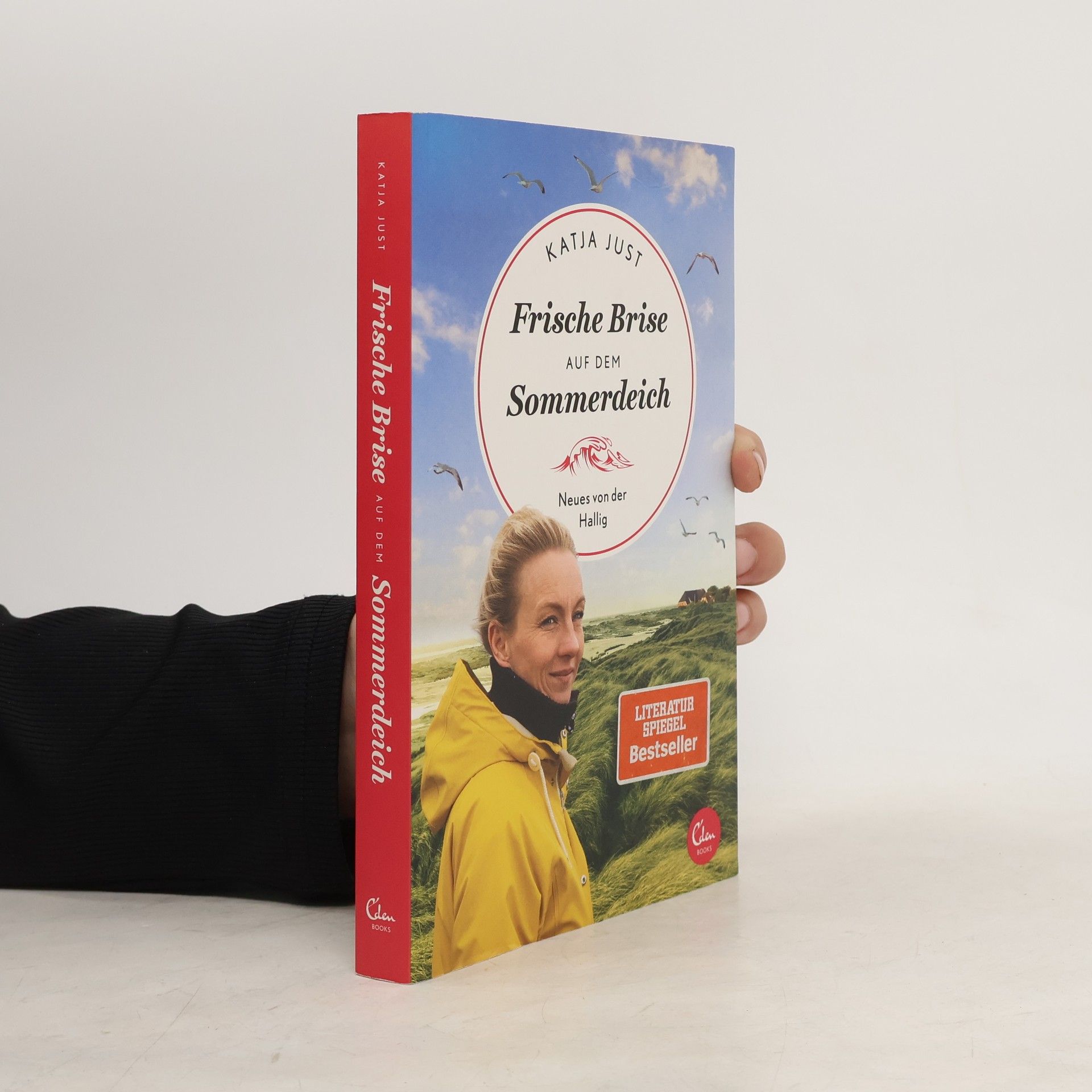Katja Just Frische Brise auf dem Sommerdeich