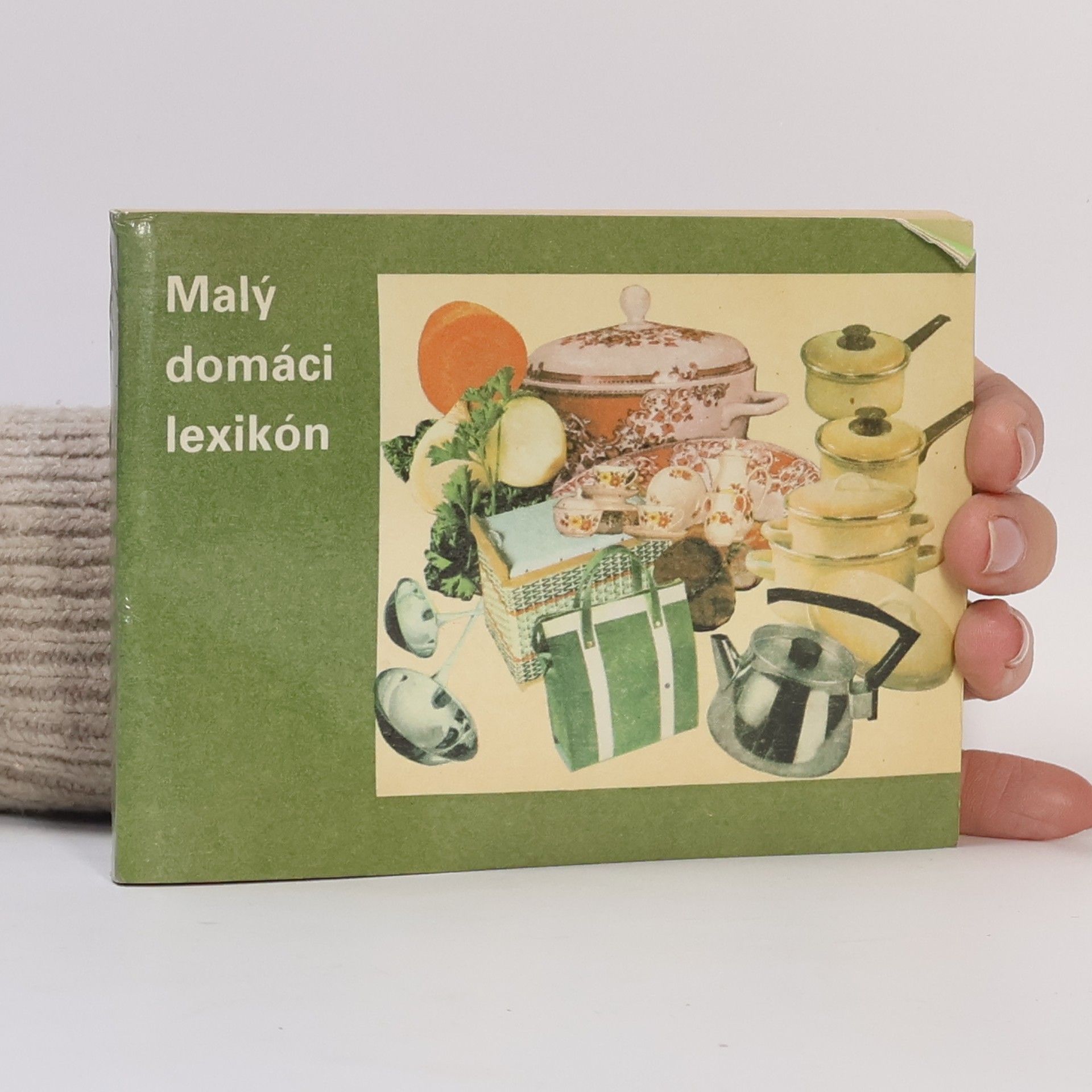 Jiří Bílek Malý domáci lexikon