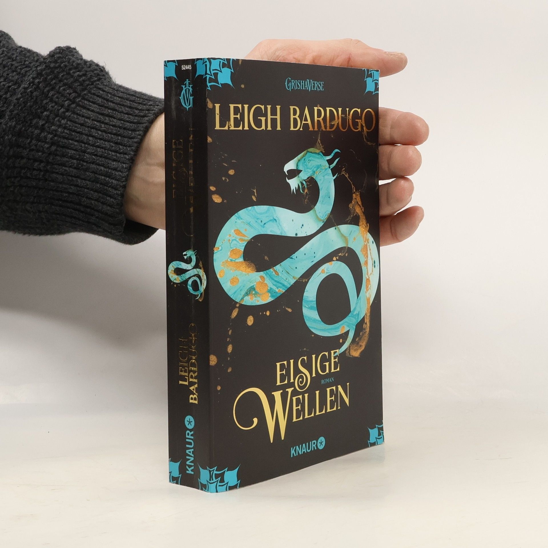 Leigh Bardugo Eisige Wellen