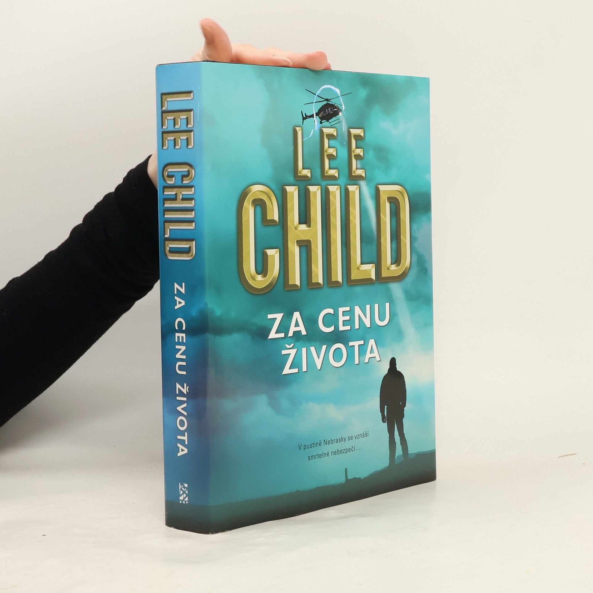 Lee Child Za cenu života