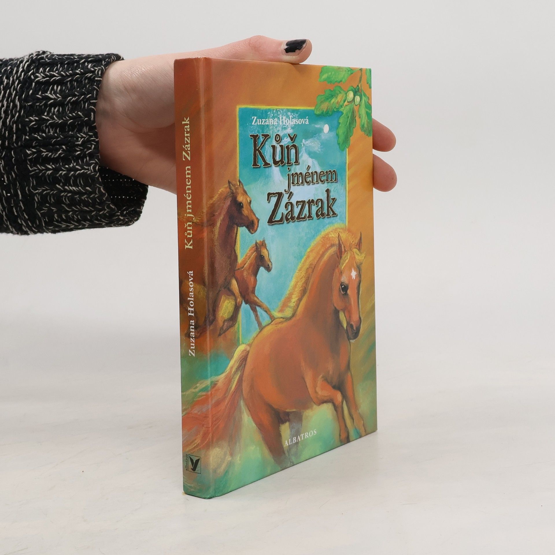 Zuzana Holasová Kůň jménem Zázrak