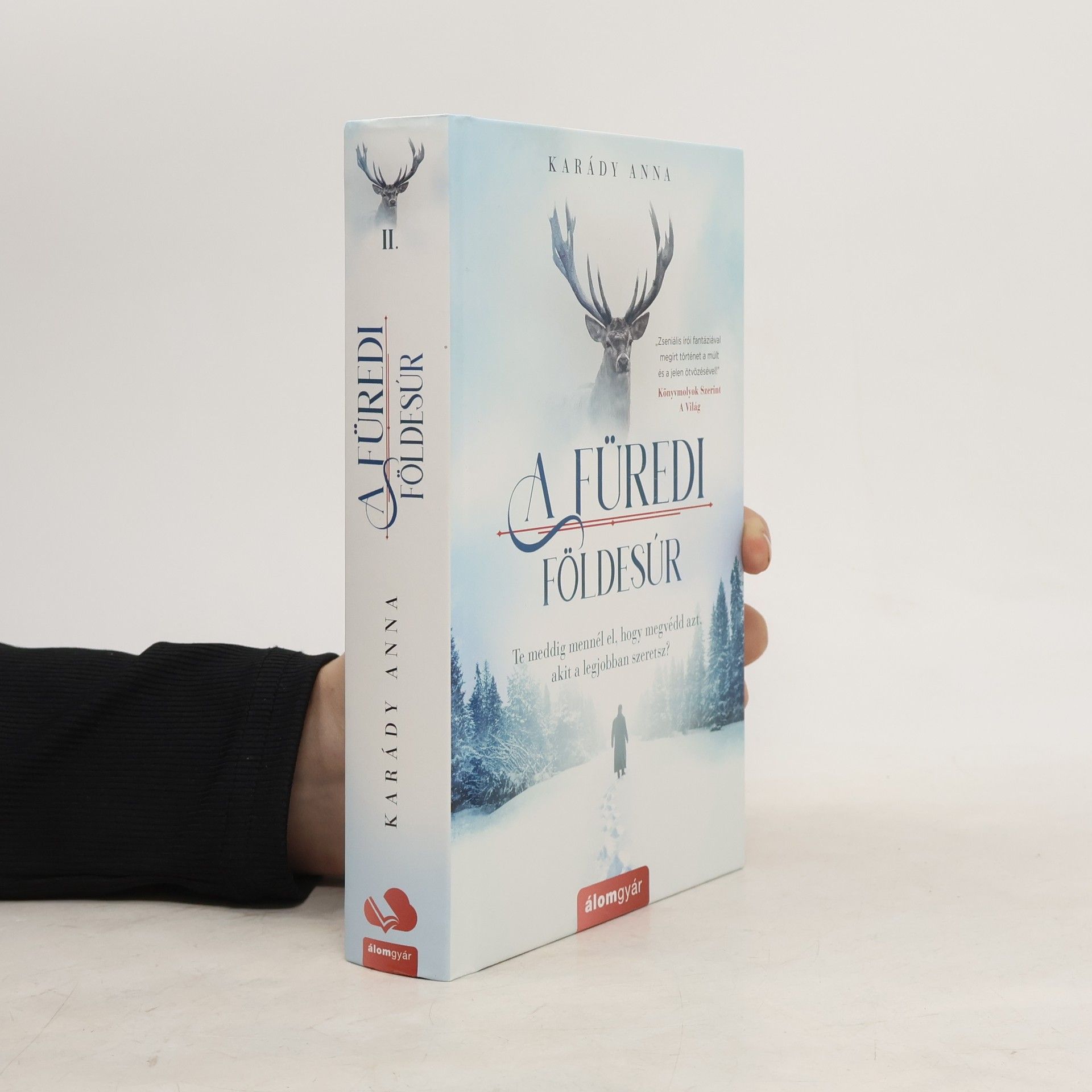 A füredi földesúr