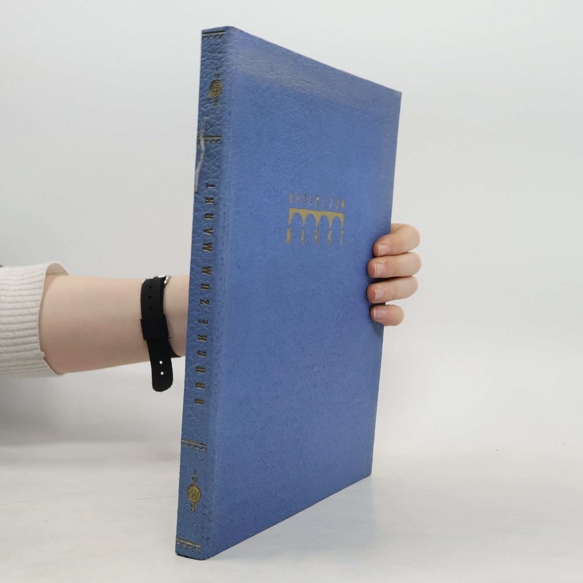 Kolektiv autorů Brücke zum Markt