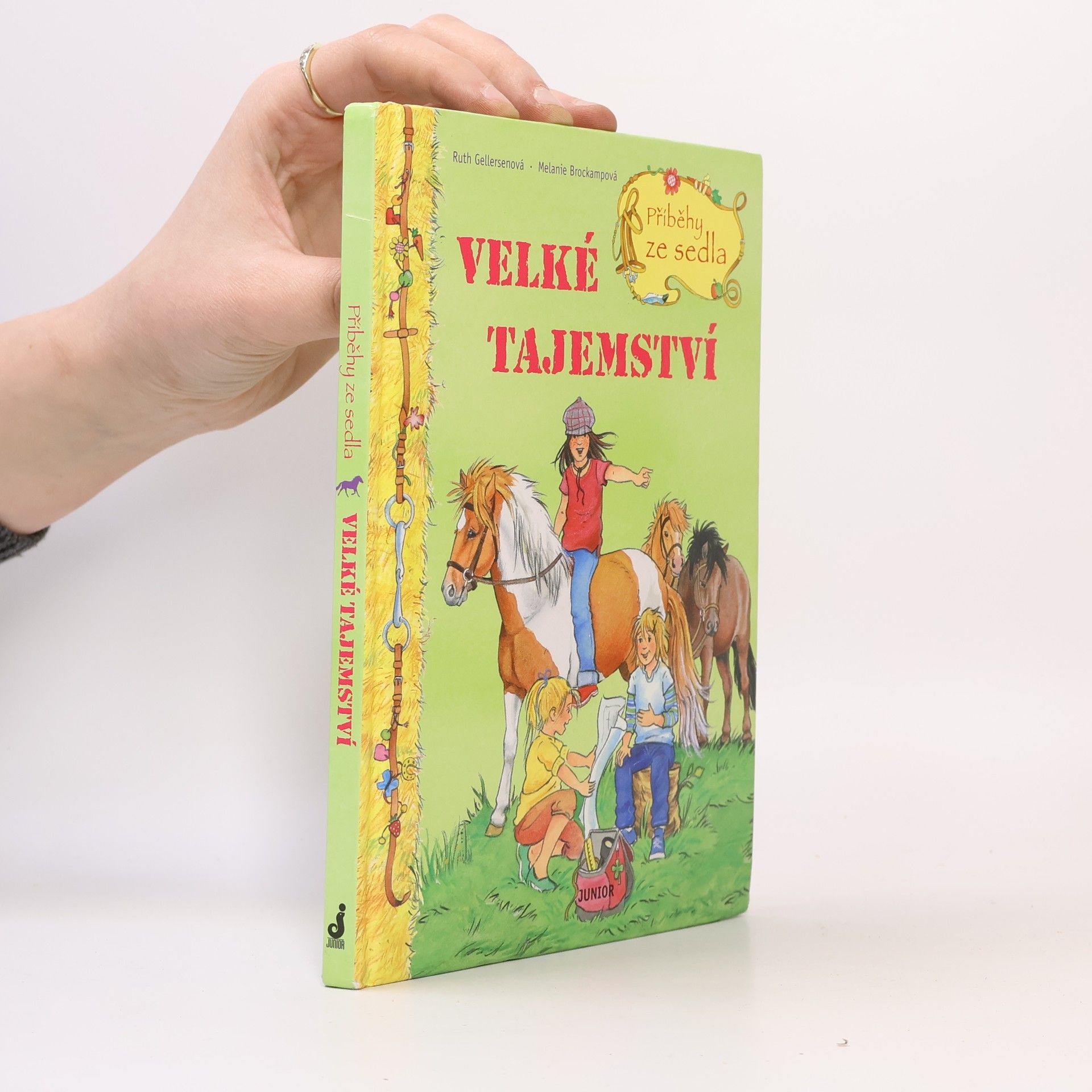 Ruth Gellersen Příběhy ze sedla. Velké tajemství