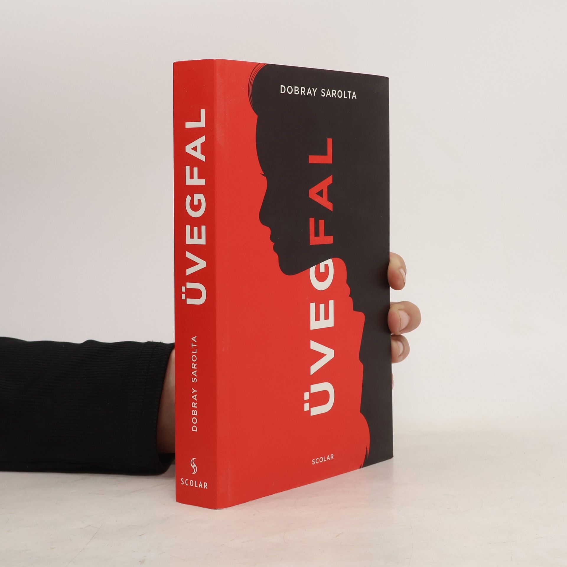 Dobray Sarolta Üvegfal