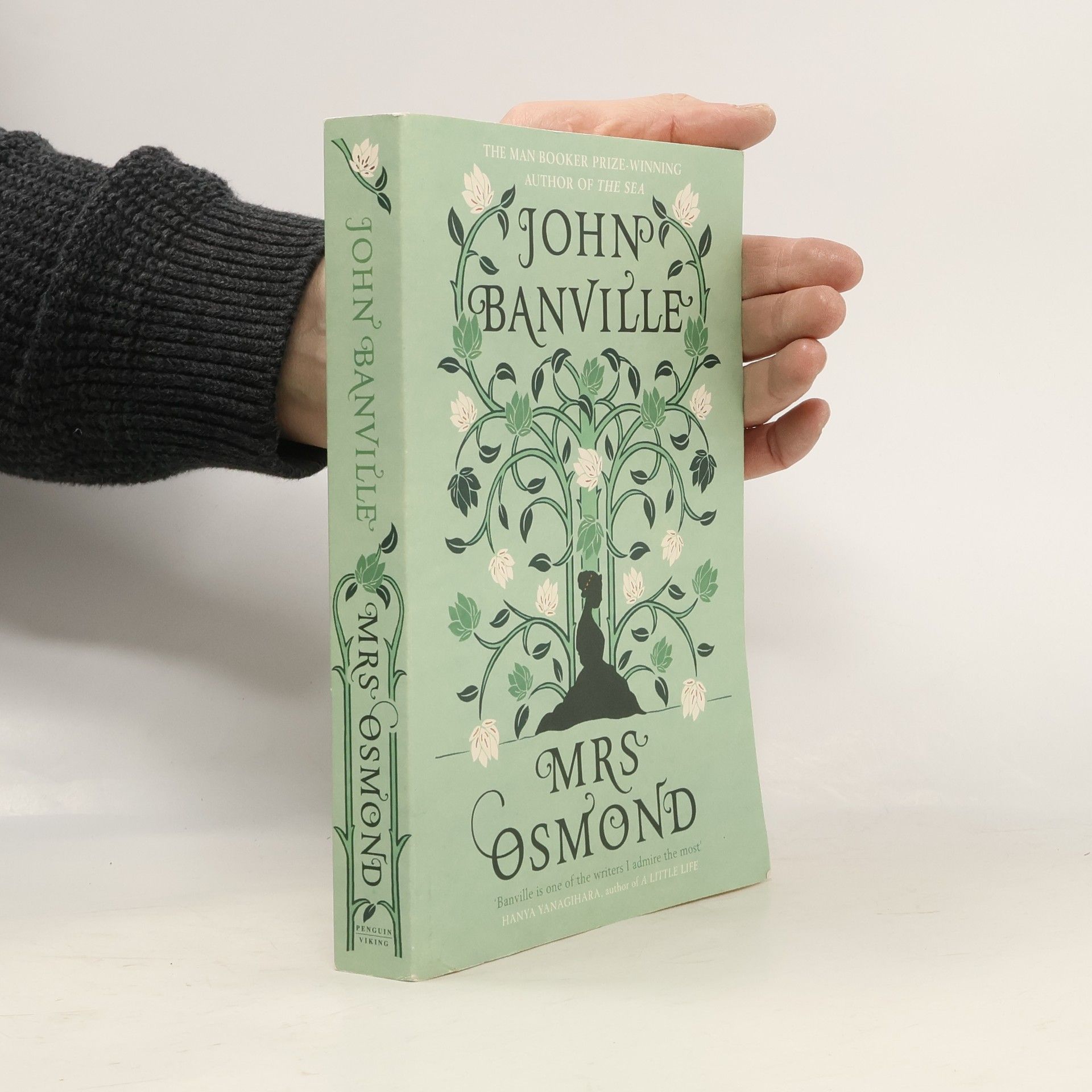 John Banville Mrs Osmond