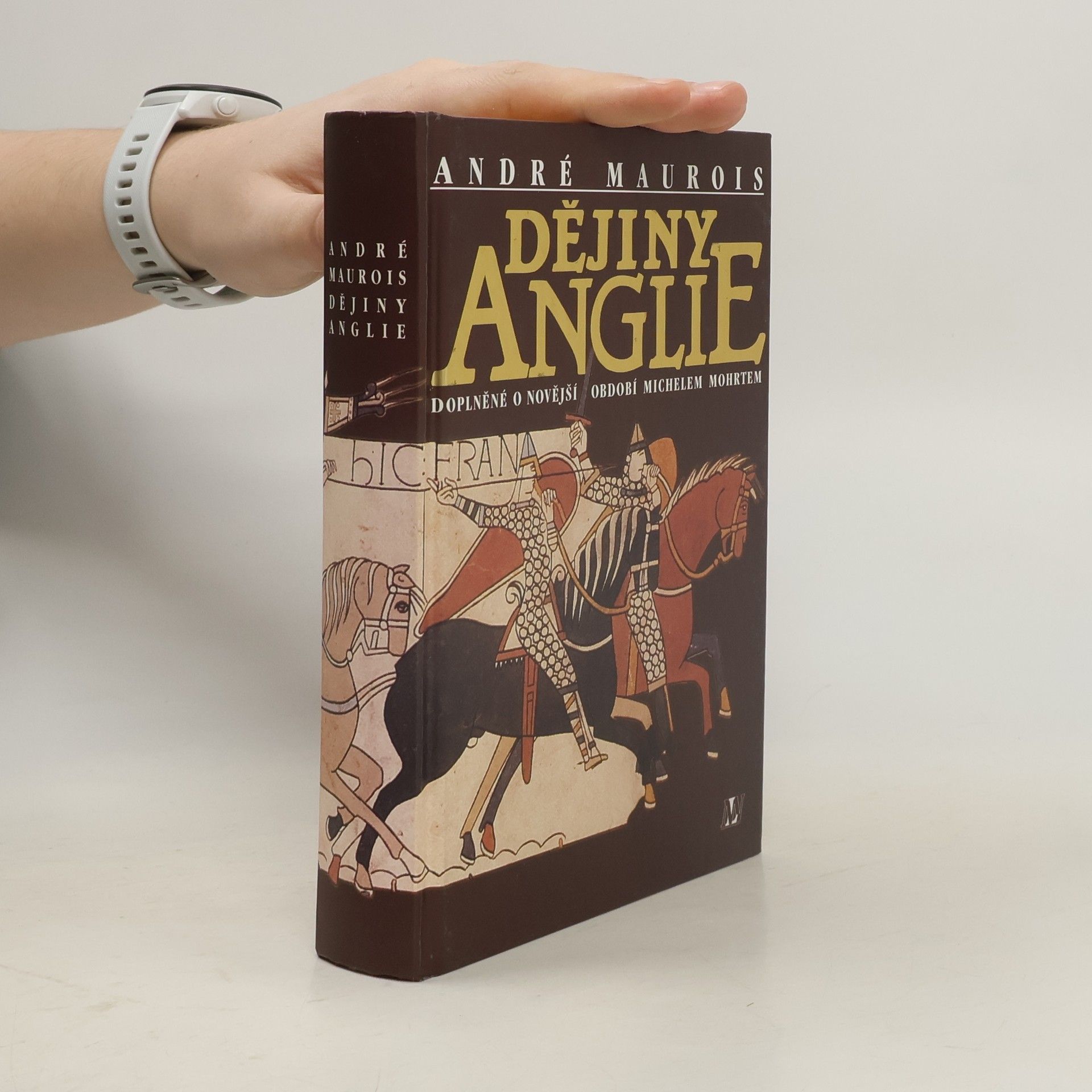 Dějiny Anglie : doplněné o novější období Michelem Mohrtem