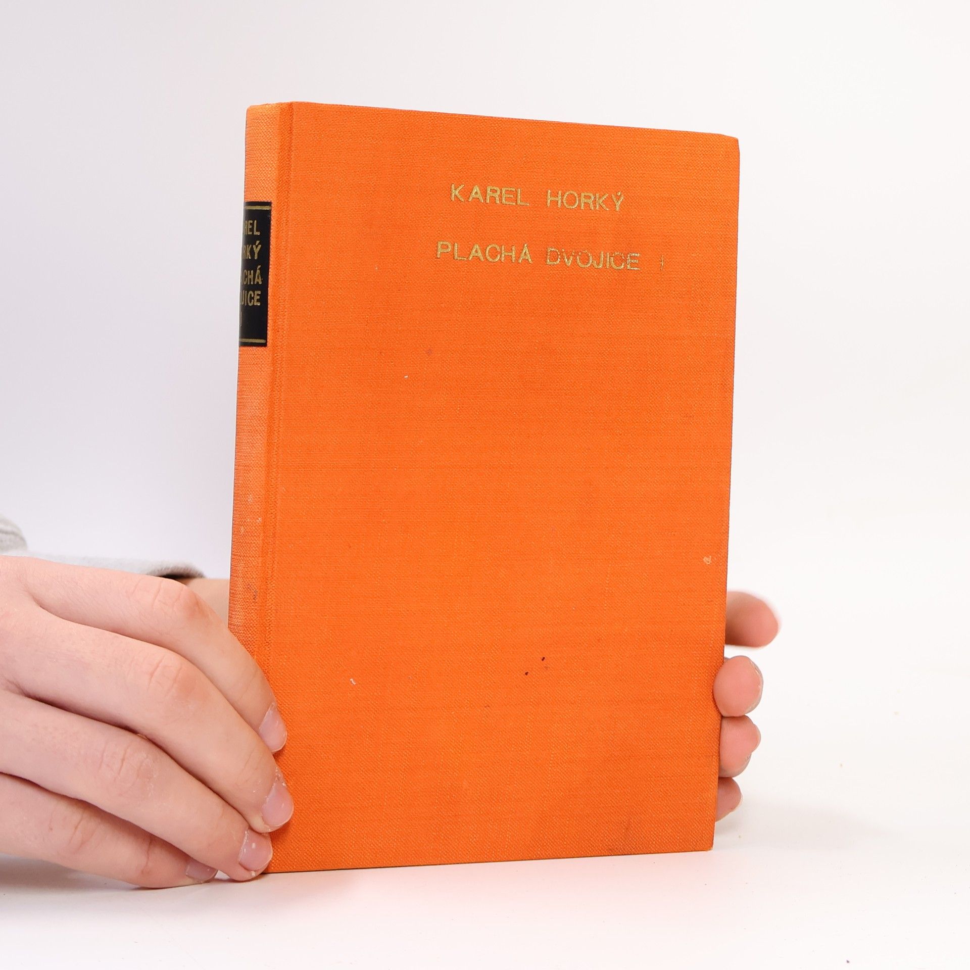 Karel Horký Plachá dvojice I