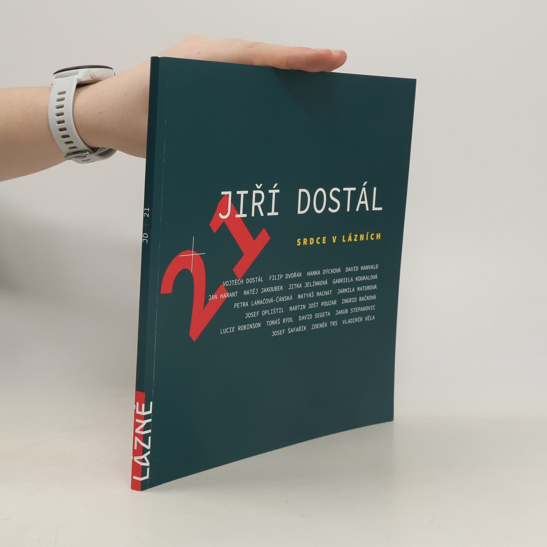 Collectif d'auteurs Jiří Dostál + ​​21. Srdce v lázních