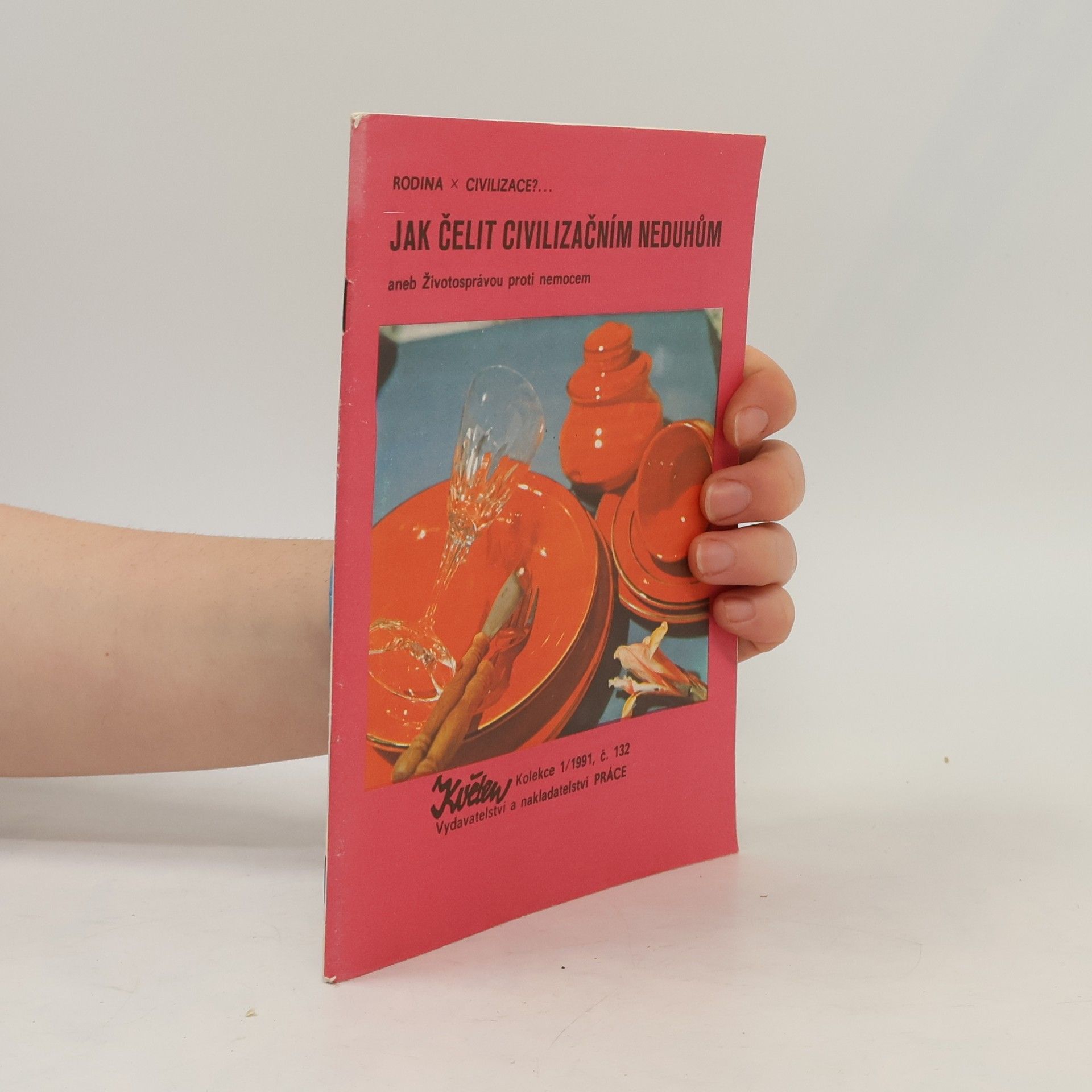 Autorenkollektiv Jak čelit civilizačním neduhům 1/1991 č. 132