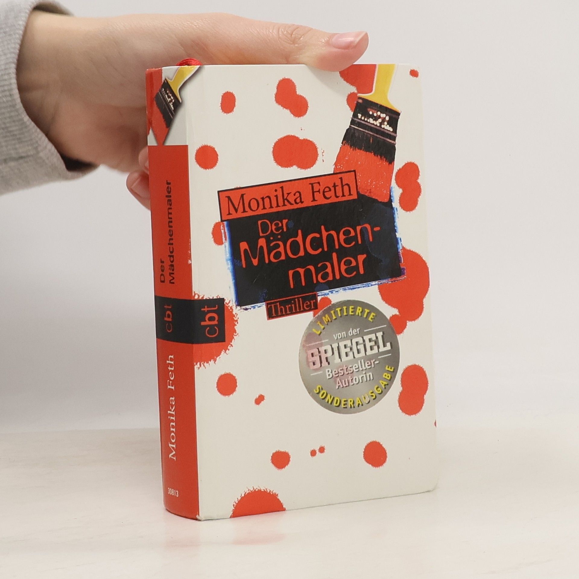 Monika Feth Der Mädchenmaler