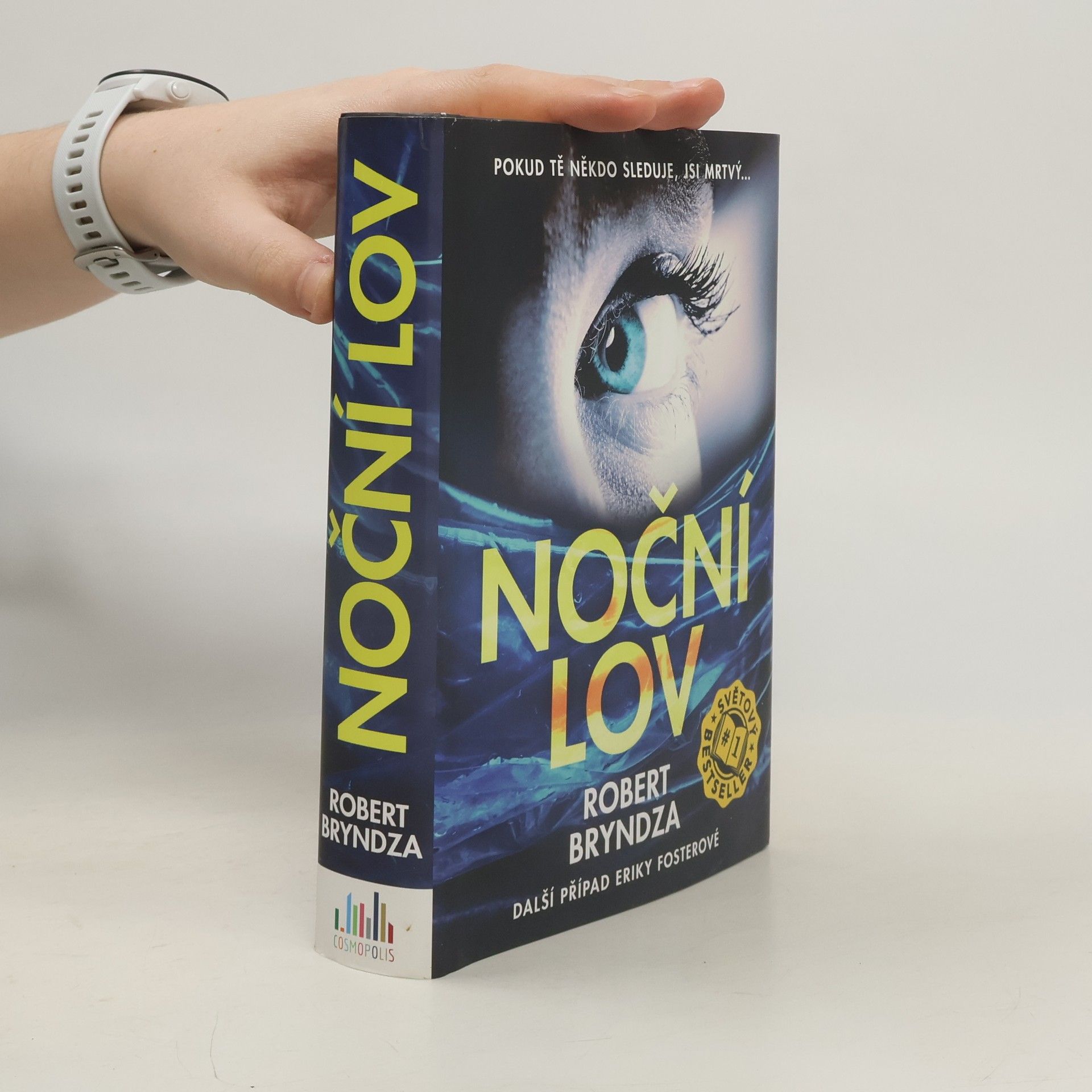 Robert Bryndza Noční lov