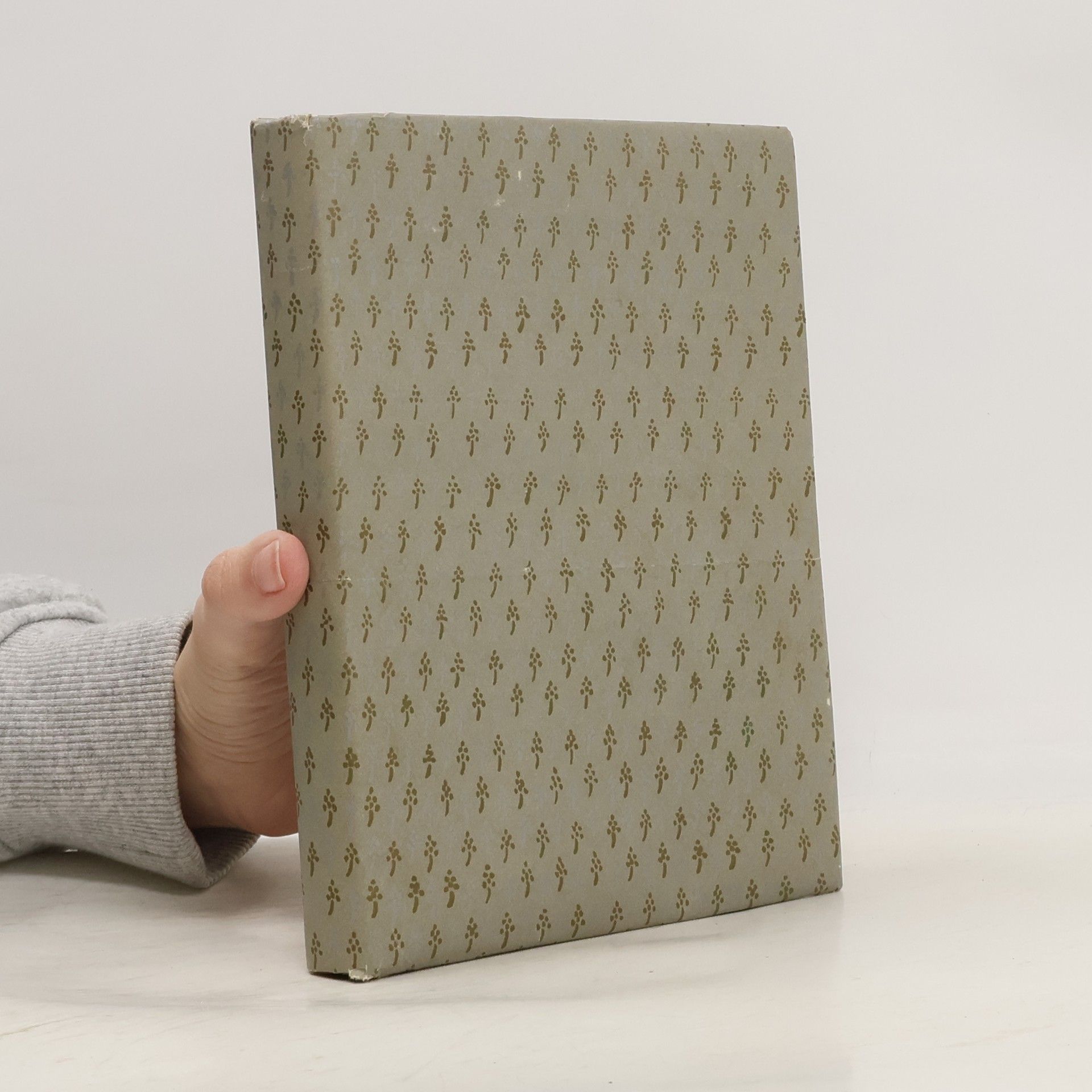 Various authors Katholische Schulbibel