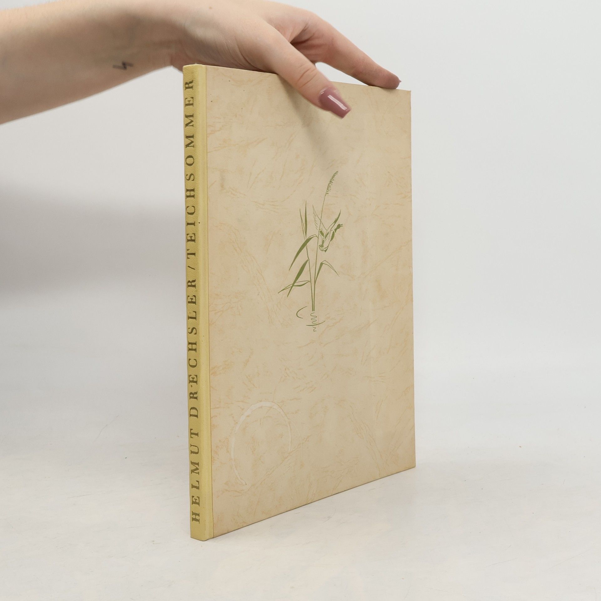 Helmut Drechsler Teichsommer