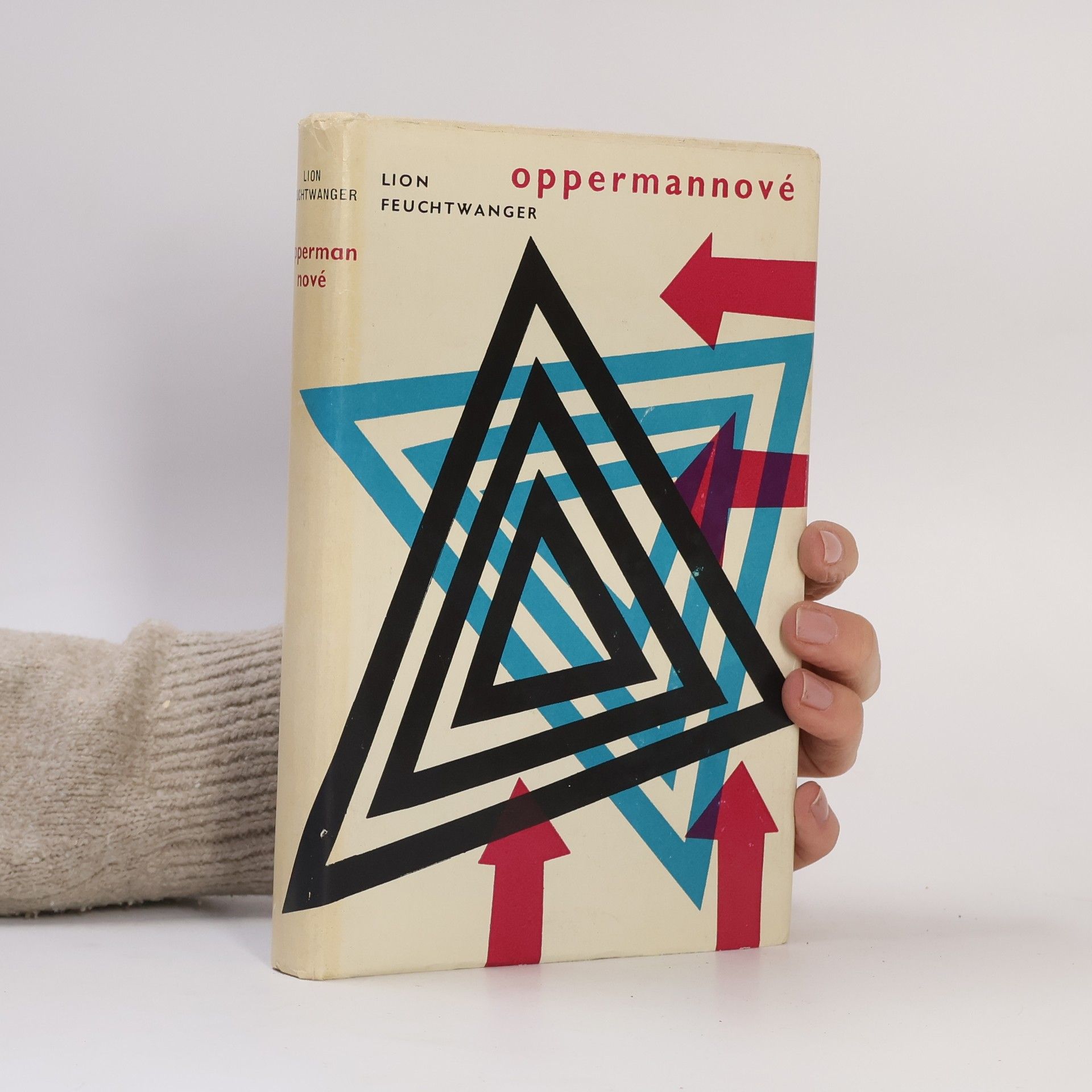 Lion Feuchtwanger Oppermannové