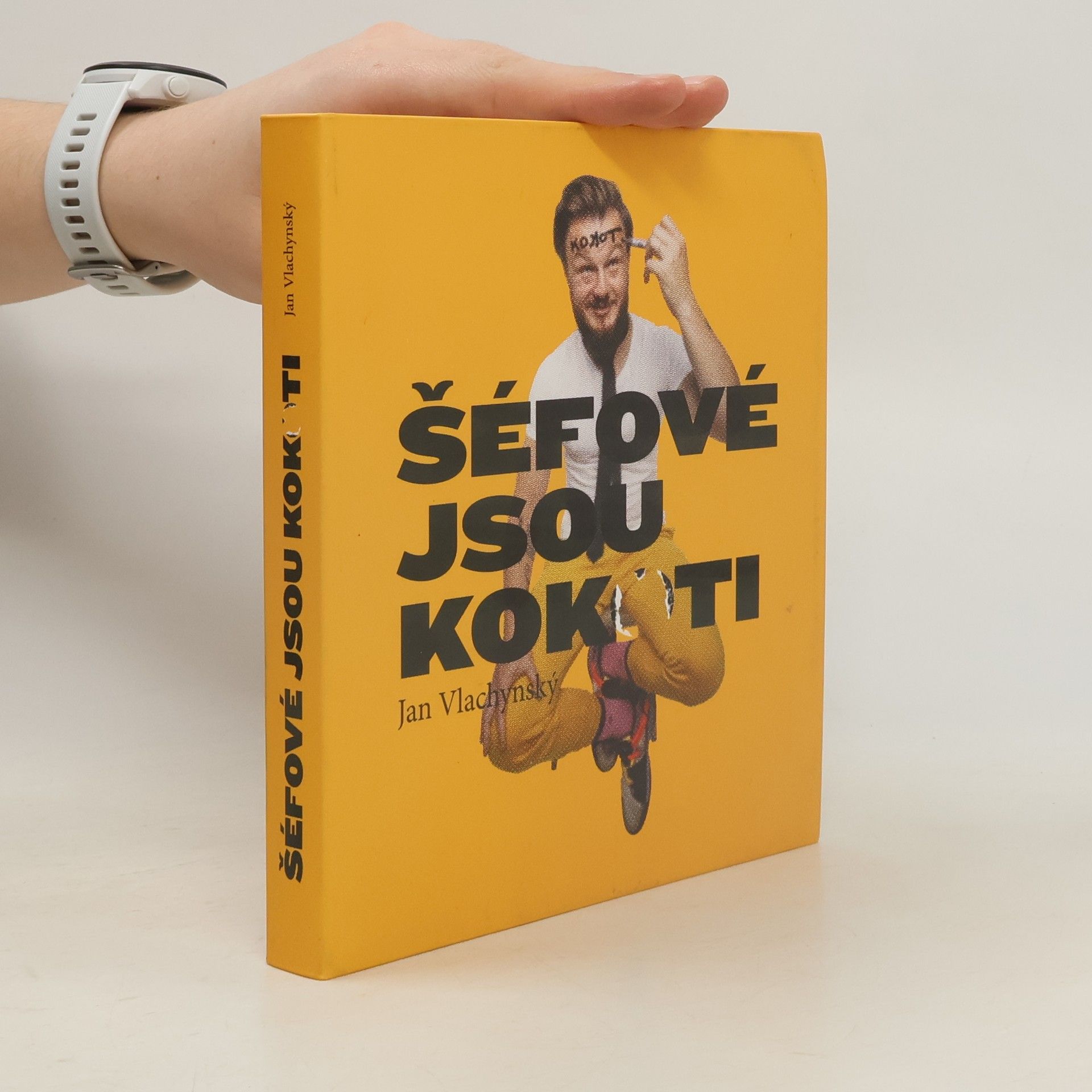 Jan Vlachynský Šéfové jsou kokoti