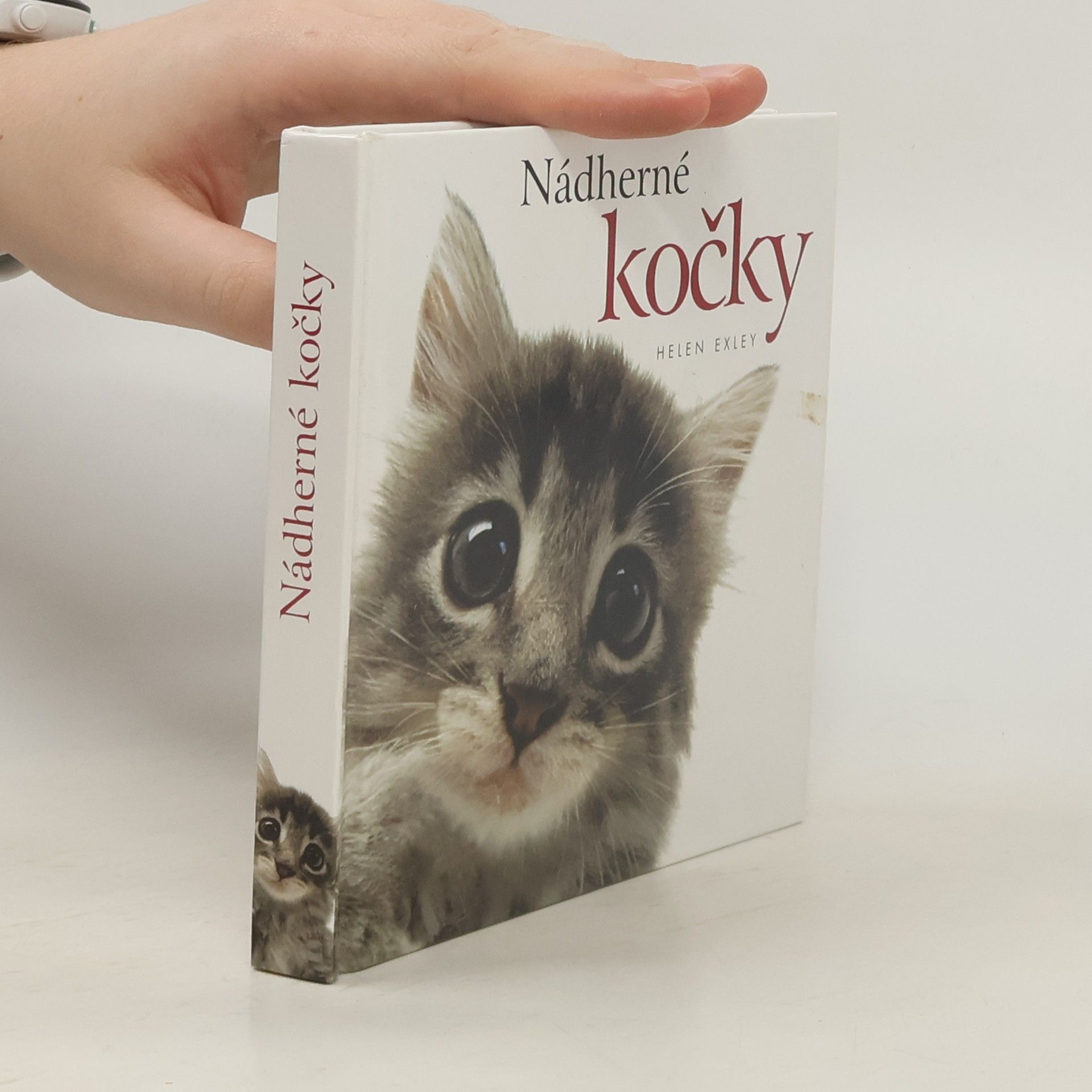 Pam Brown Nádherné kočky