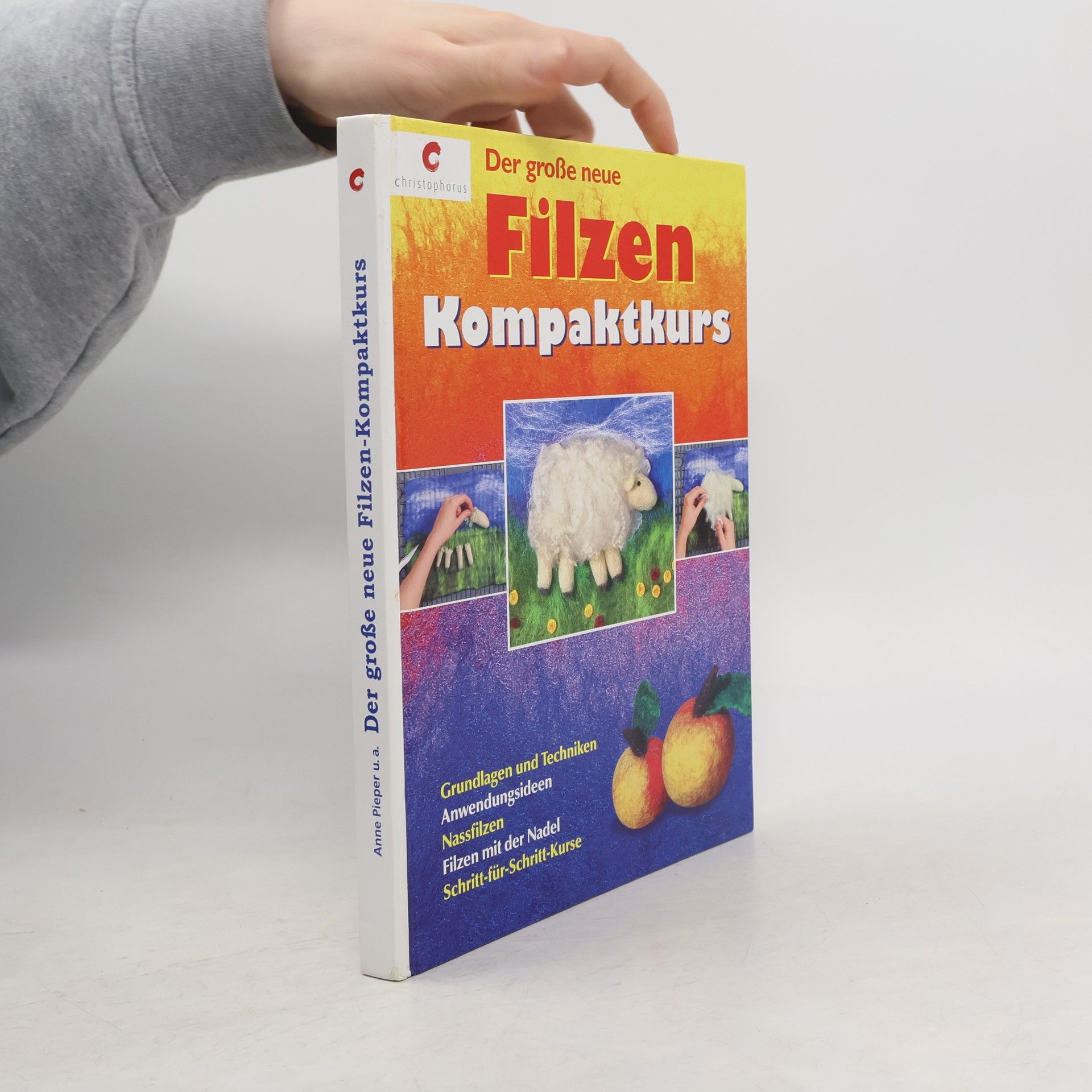 Anne Piper Der große neue Filzen-Kompaktkurs