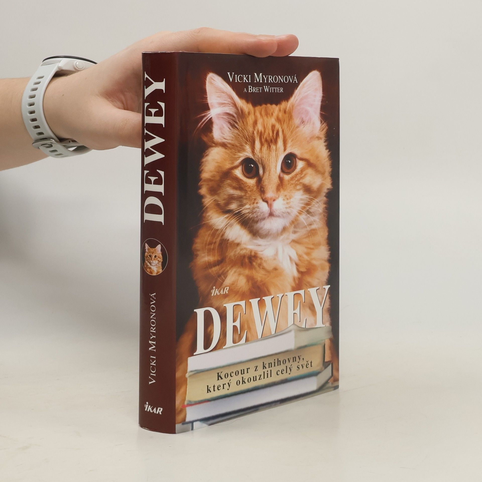 Vicki Myron Dewey. Kocour z knihovny, který okouzlil celý svět