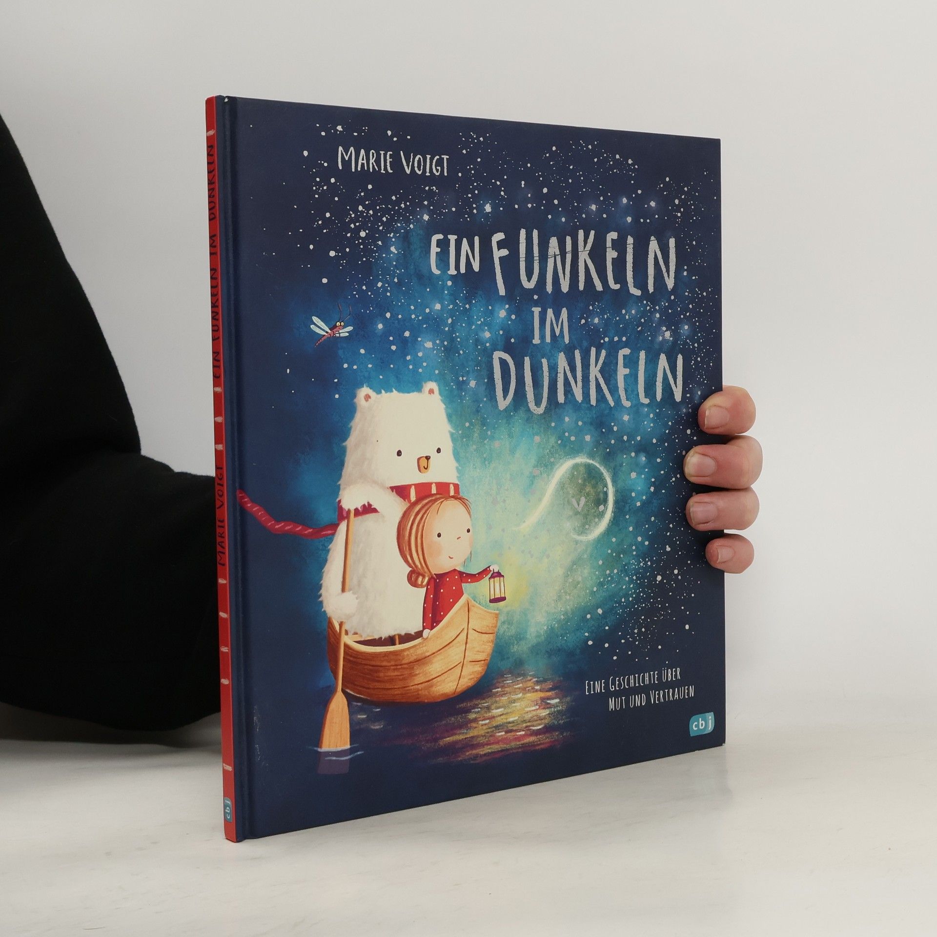 Marie Voigt Ein Funkeln im Dunkeln